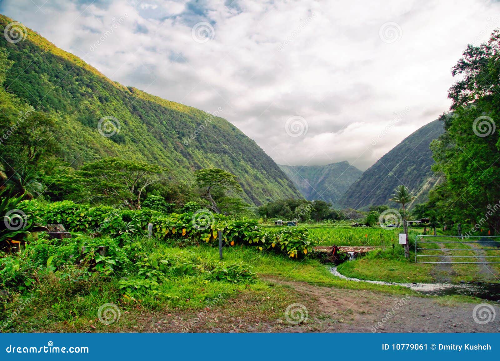 竹林小道图片,花图片,风景图片大全_大山谷图库