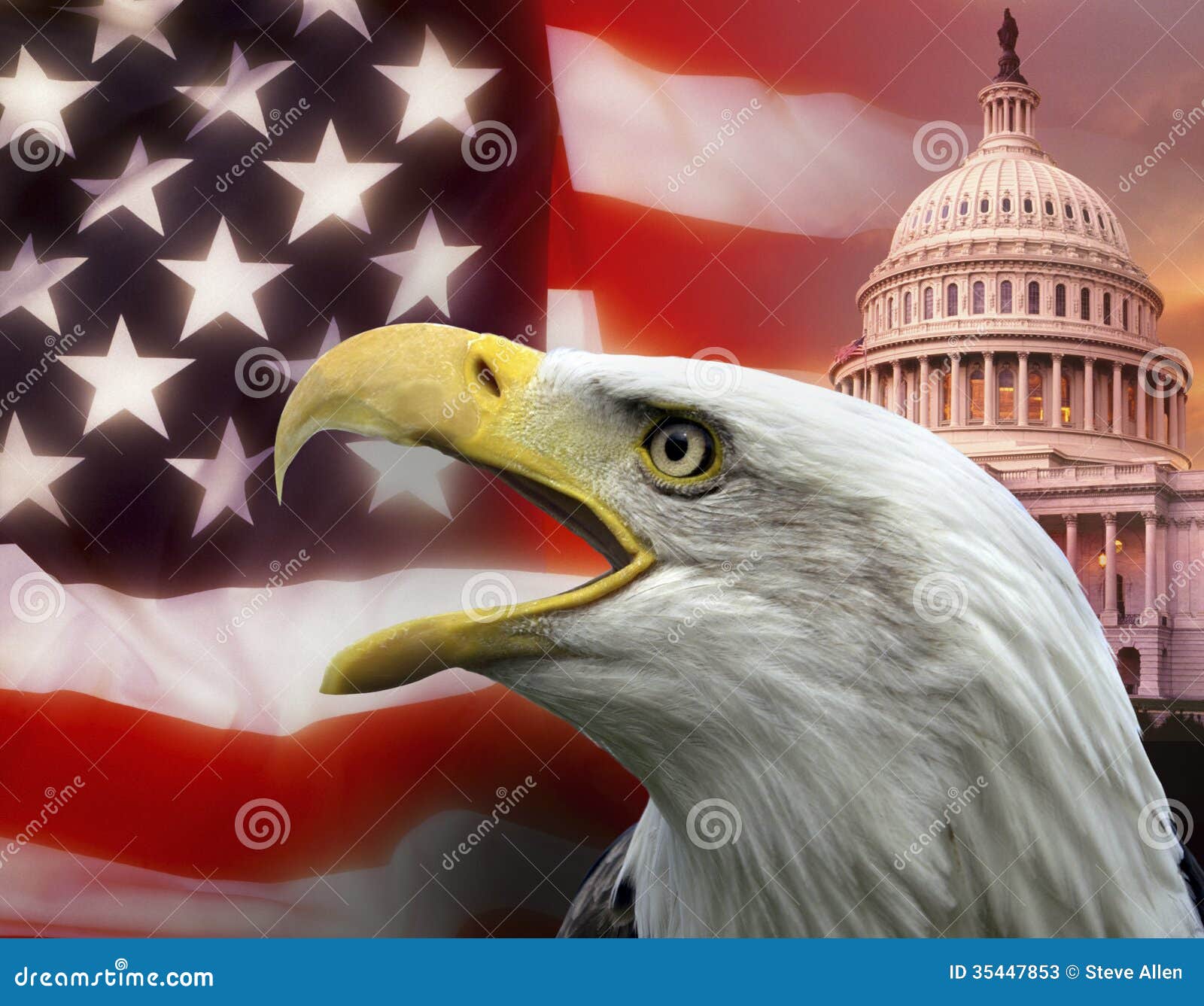 几排美丽的美利坚合众国国旗排成一列 库存照片. 图片 包括有 军事, 公园, 大使职位, 民主, 荣誉称号 - 170947666