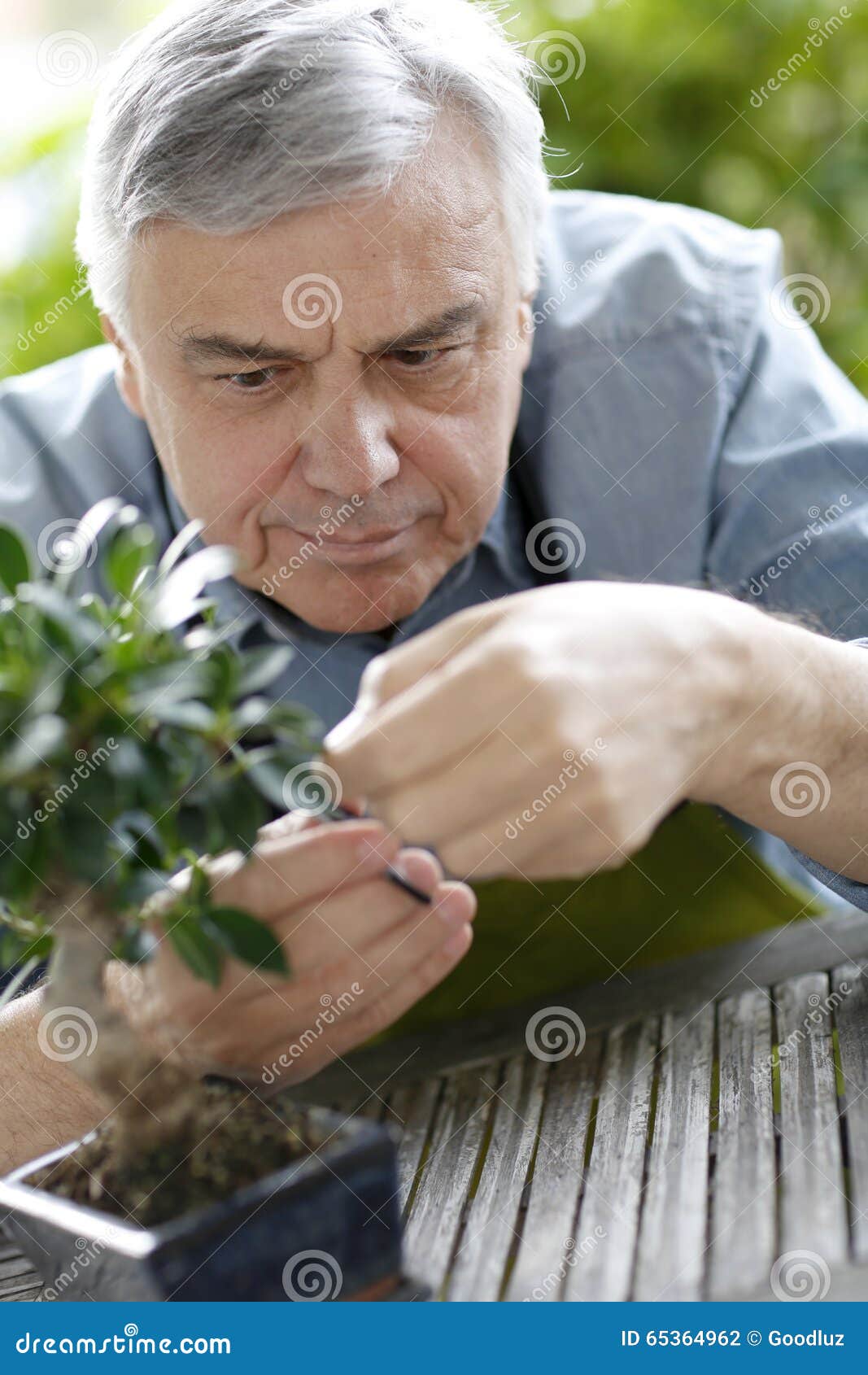 活跃的亚洲老人在修剪花园种植的绿色植物时微笑的画像动物植物免费下载_jpg格式_3840像素_编号40607354-千图网