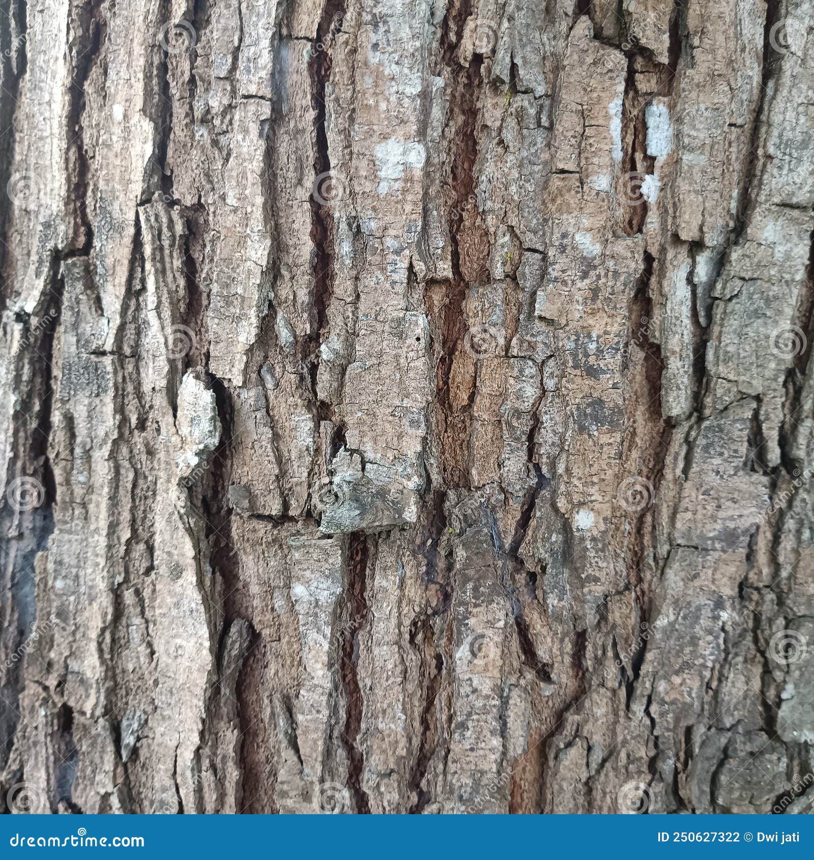 1kg树皮杉树皮装饰树皮农庄景点包水管医用包扎工艺品材料-阿里巴巴