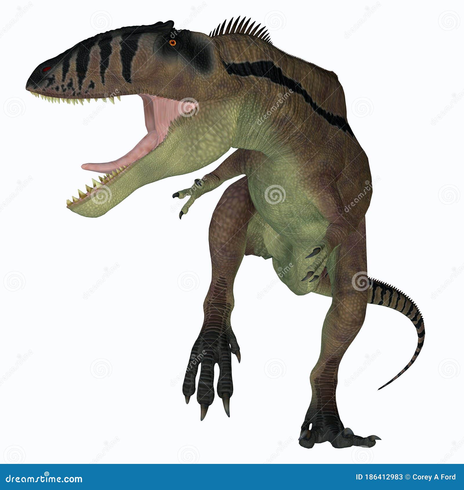 恐龍(蜥形綱史前動物):名稱釋義,恐龍的發現,外形特徵,骨骼特徵,體型特徵,主要區_中文百科全書
