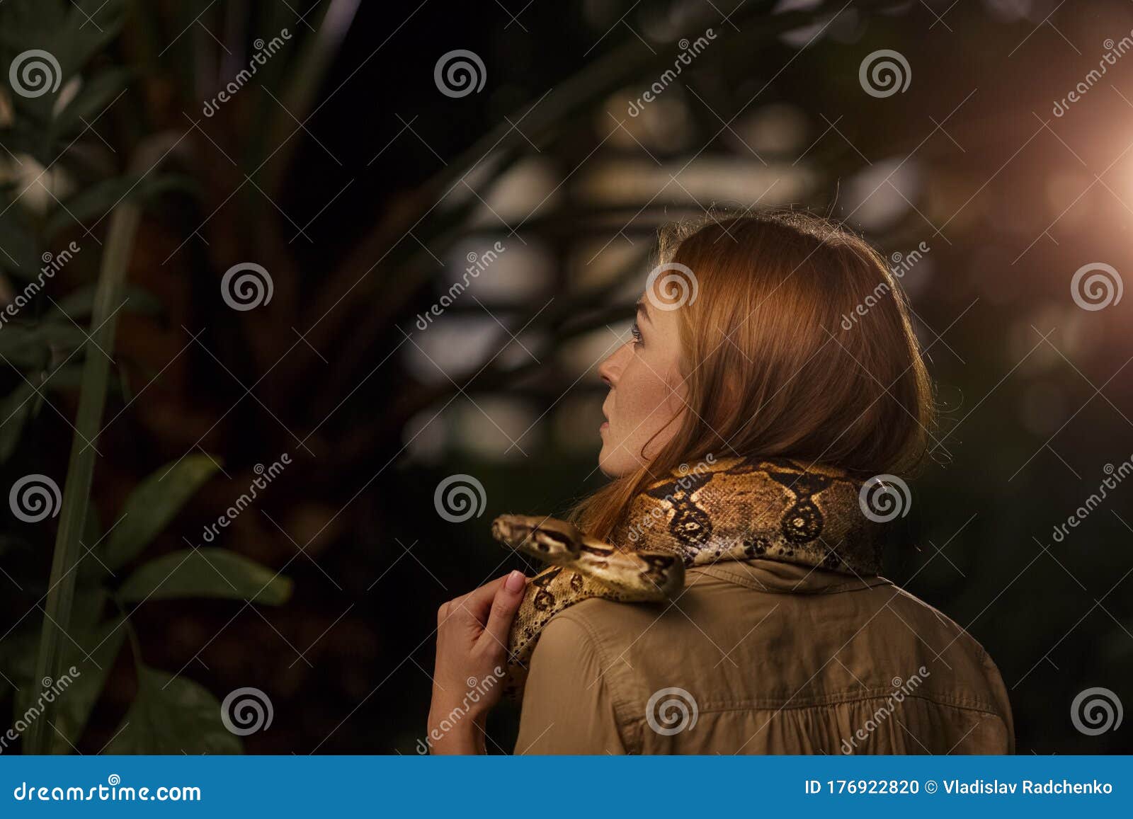 戴着蛇的红发女人. 白色背景中带俾格米蟒的特写照片女孩 库存照片 - 图片 包括有 文化, 高雅: 192684956