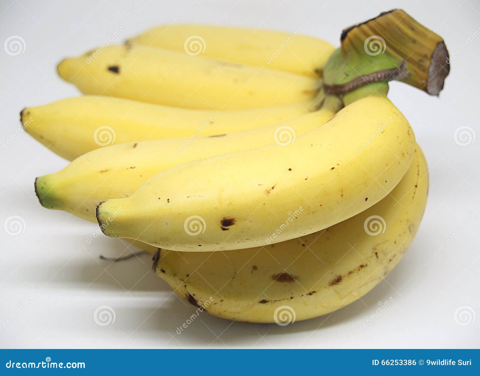 背景香蕉食物素食白色. 在白色后面地面的香蕉