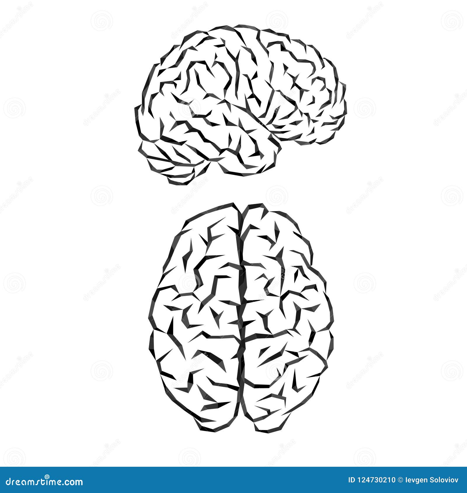 Outline Of The Human Brain Human Body Png Clipart Area Black And ...