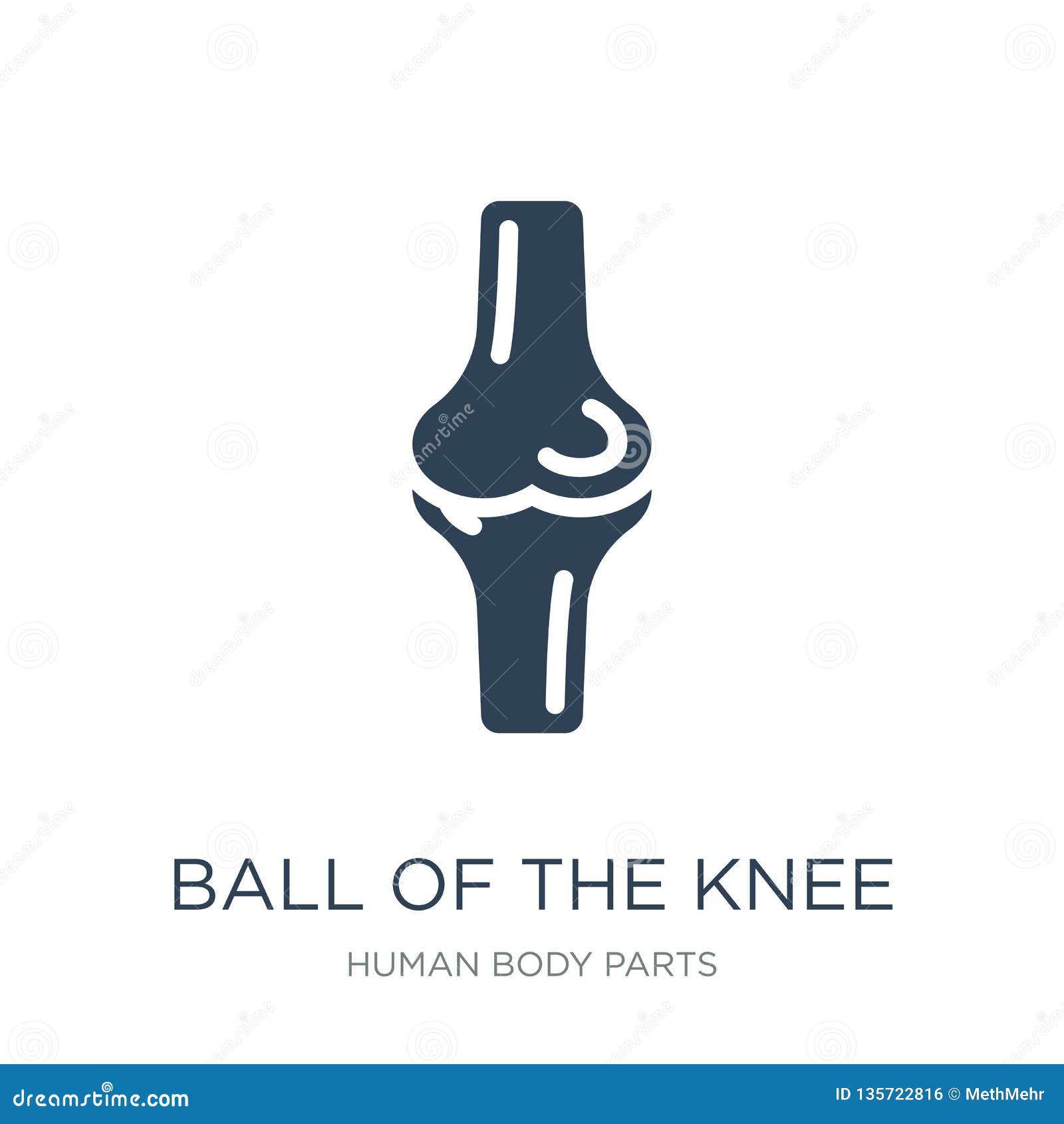 膝盖象的球在时髦设计样式的 在白色背景隔绝的膝盖象的球 膝盖传染媒介象的球. 膝盖象的球在时髦设计样式的 在白色背景隔绝的膝盖象的球 膝盖传染媒介象简单和现代平的标志的球网站的，机动性，商标，应用程序，UI
