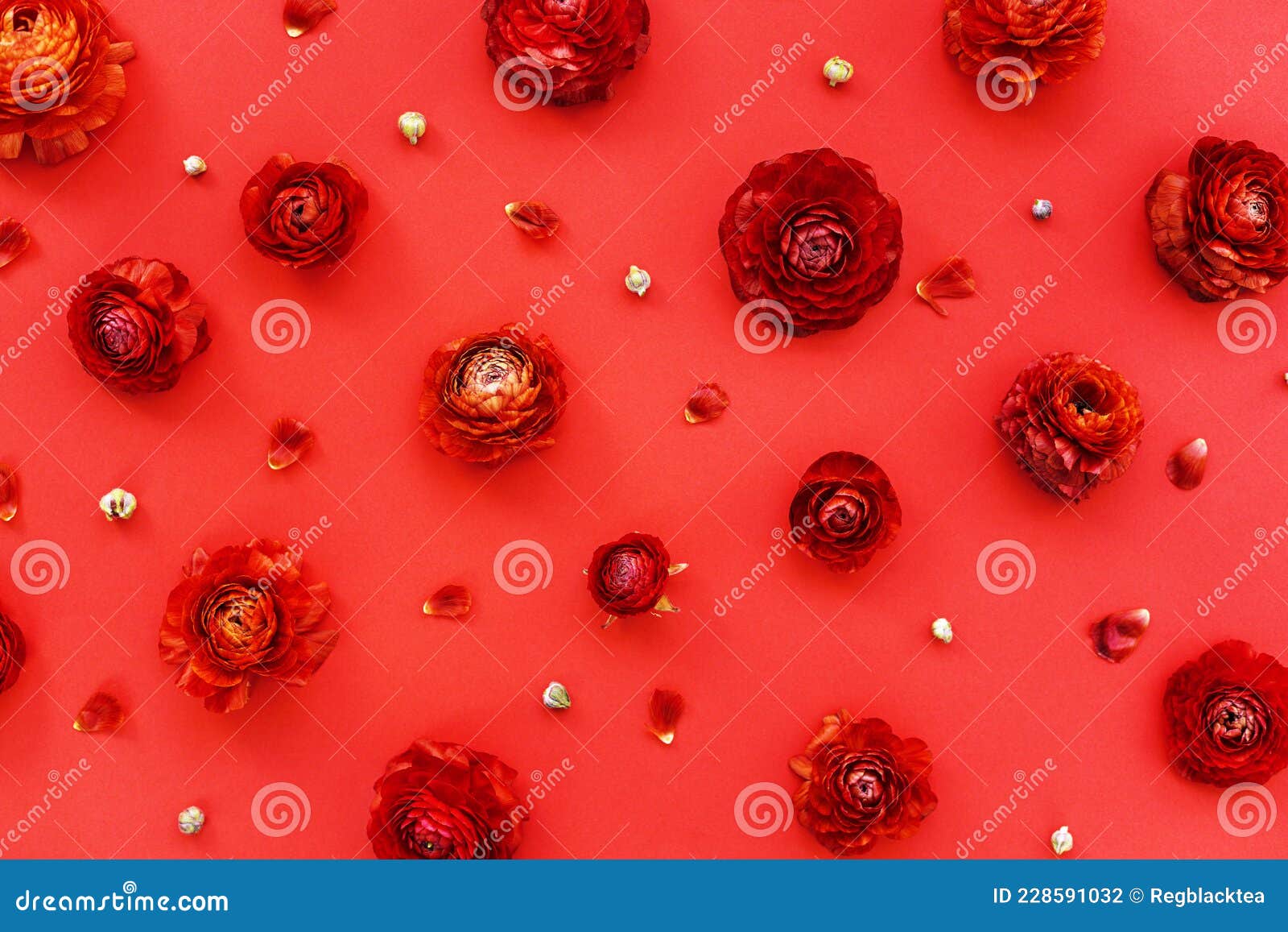 鲜红的玫瑰花特写桌面背景素材设计图__花边花纹_底纹边框_设计图库_昵图网nipic.com