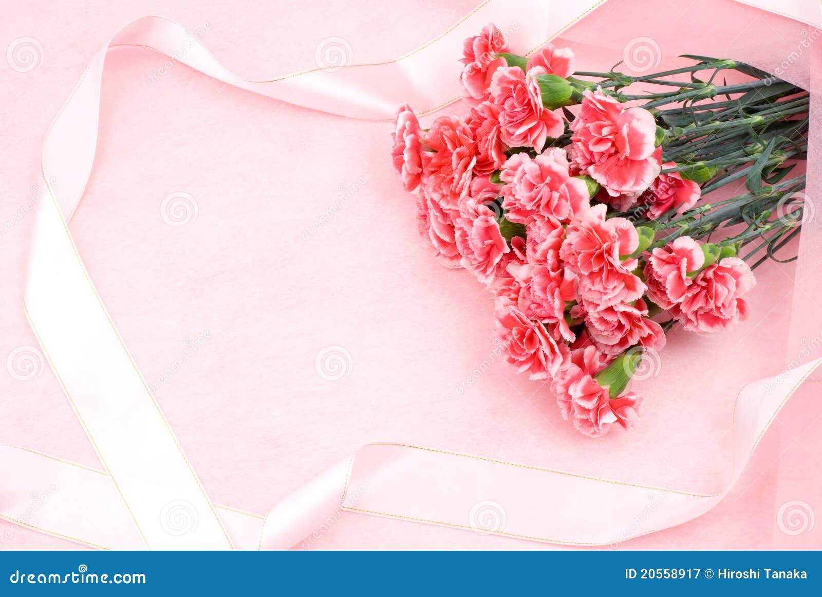 #229進口康乃馨花束-米蘭歐式花坊
