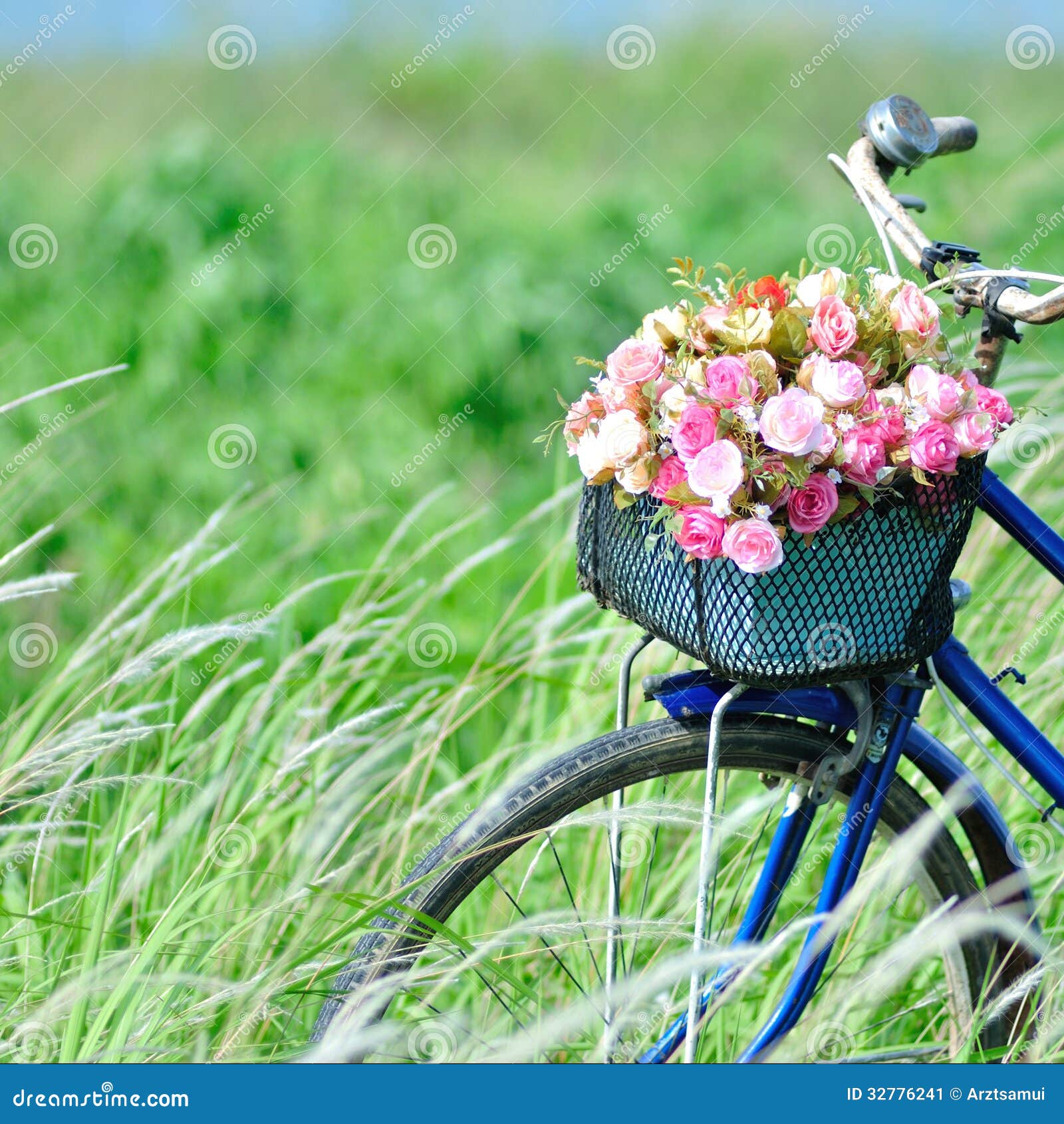 图片素材 : 花, 车辆, 山地自行车 4928x3264 - - 65465 - 素材中国, 高清壁纸 - PxHere摄影图库