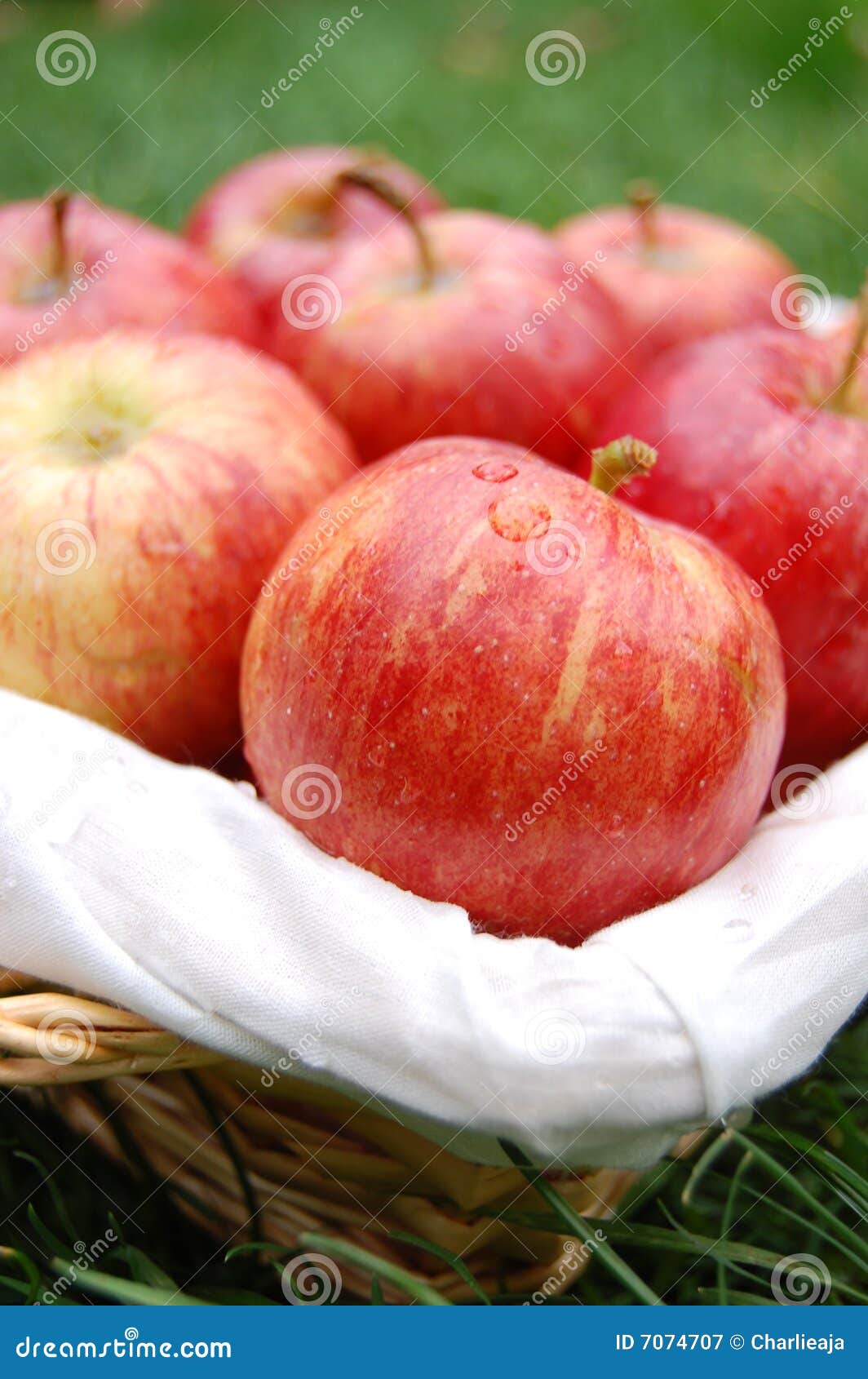 Apples. 苹果秋天篮子红色