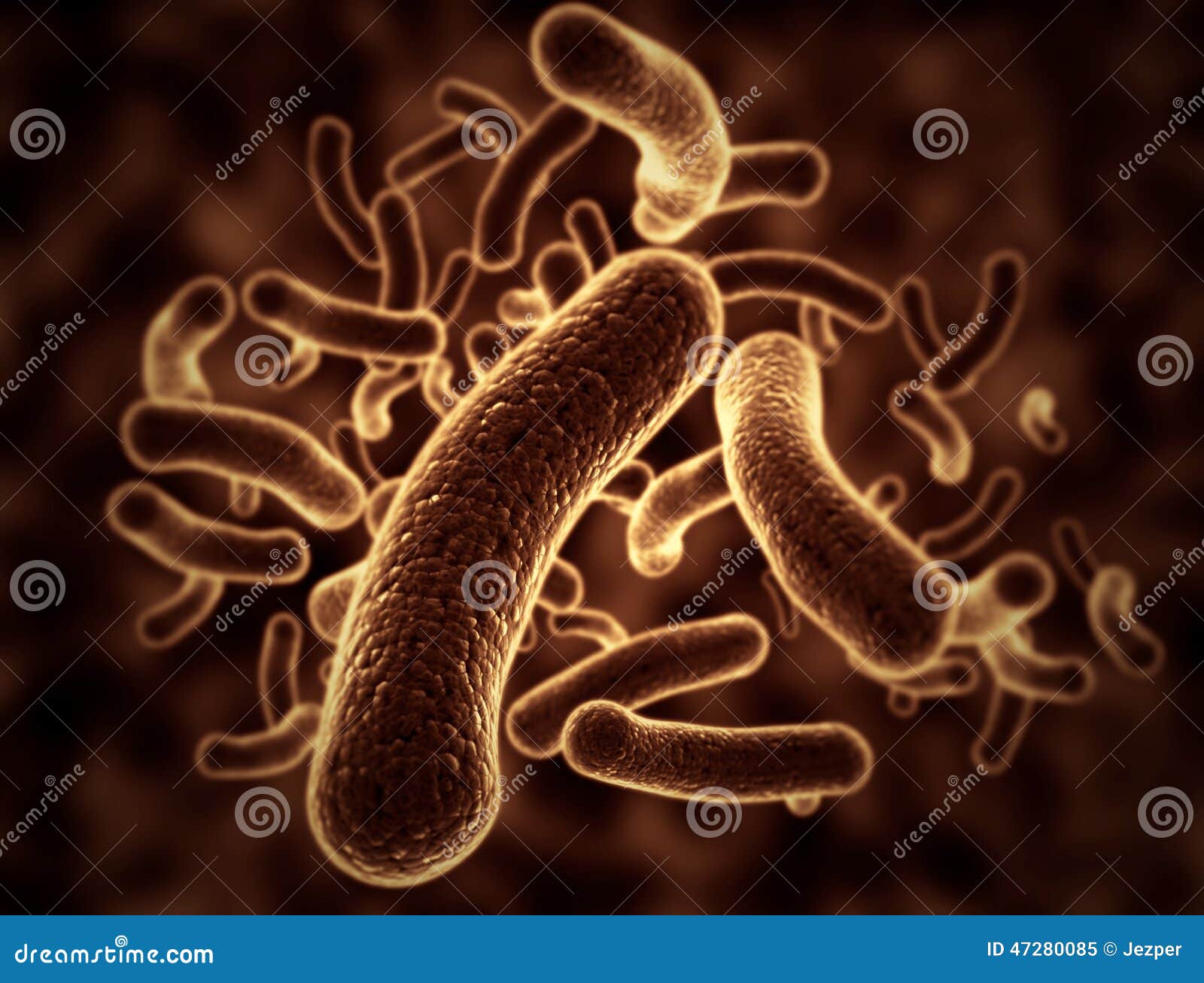 细菌细胞 库存例证. 插画 包括有 细菌细胞 - 47280085