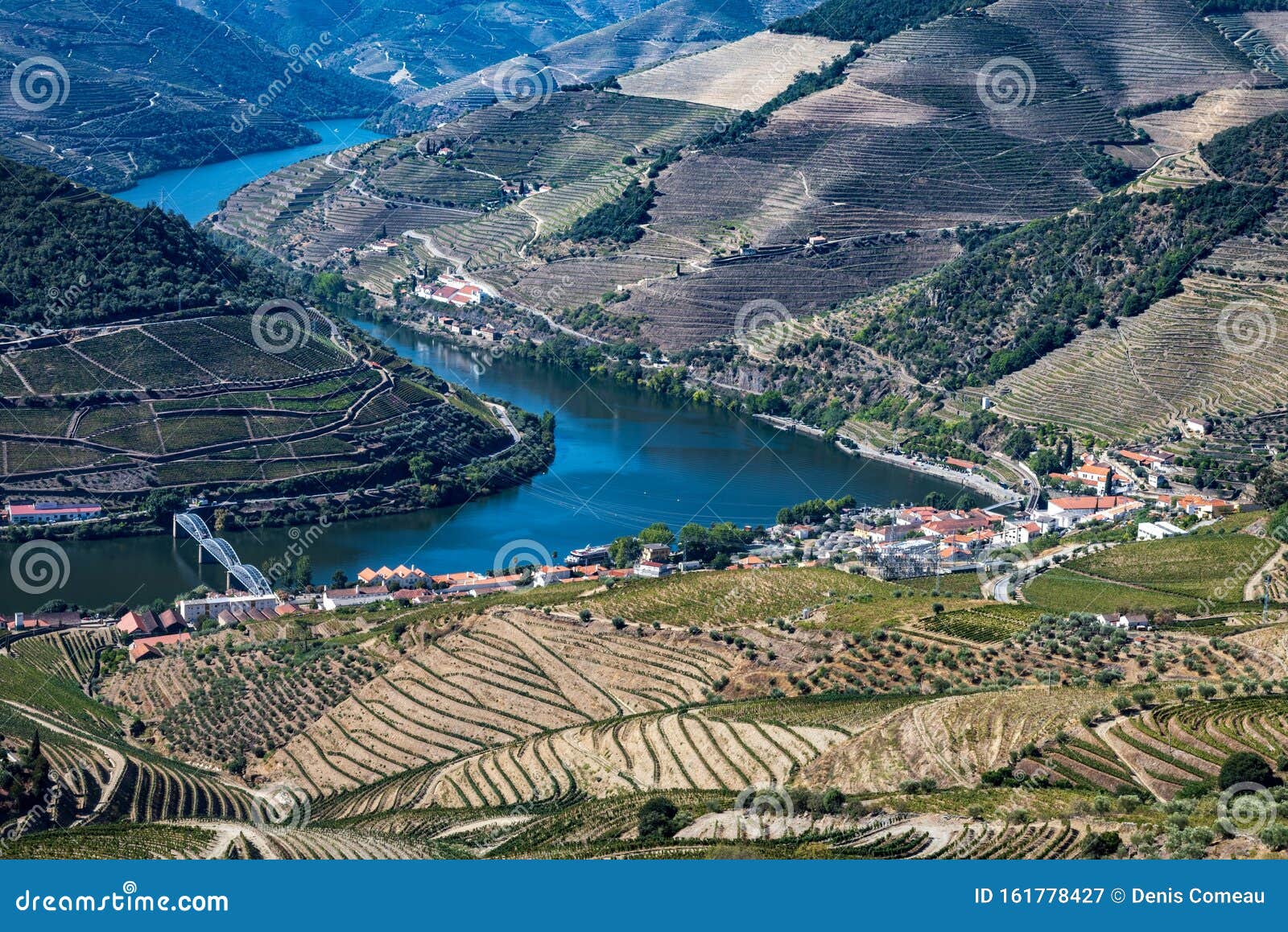 葡萄牙皮尼奥的葡萄园和杜罗河 库存图片. 图片 包括有 绿色, 橄榄, 红色, 农场, 叶子, 字段, 夏天 161778427
