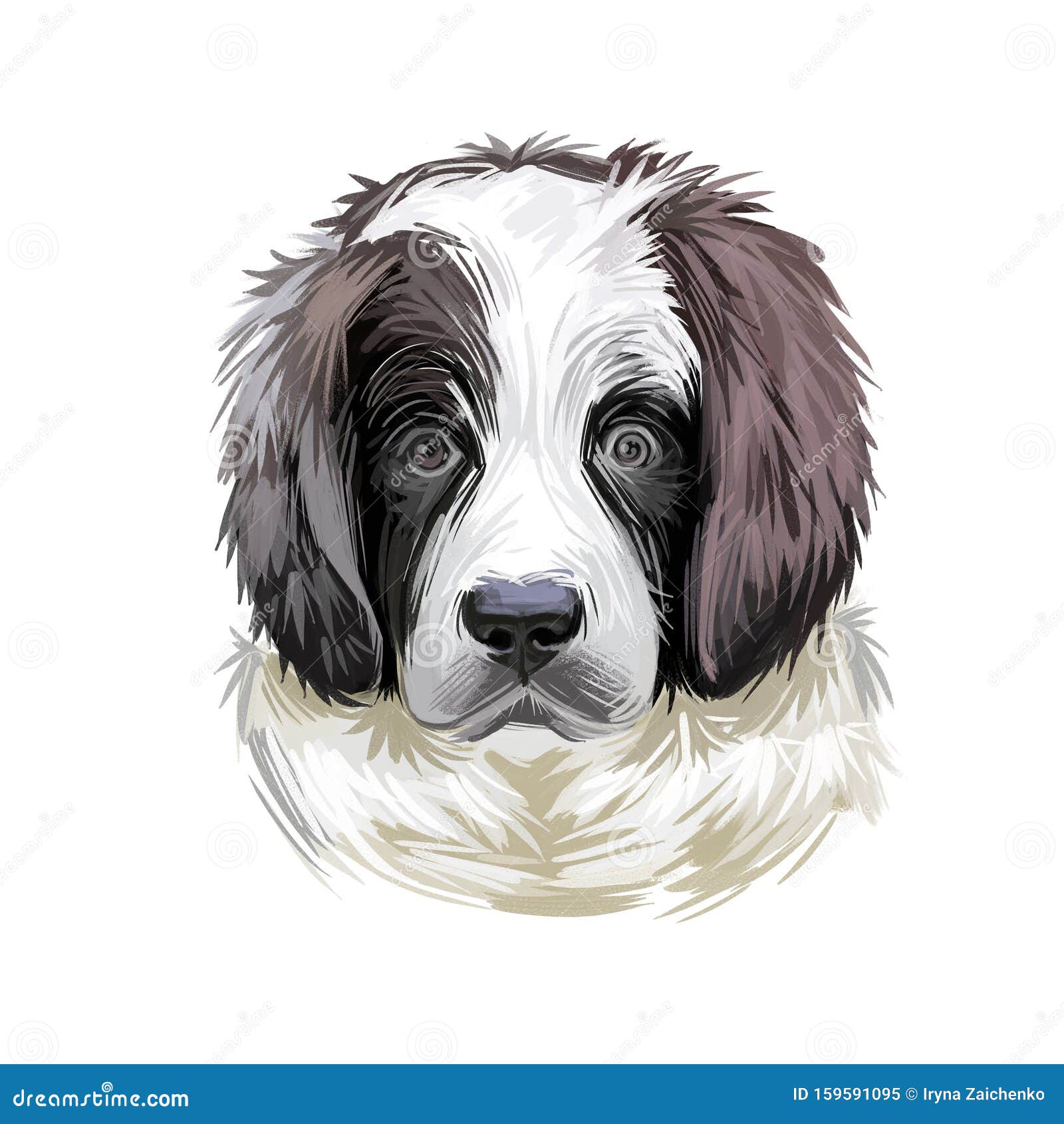 犬 種類 大型