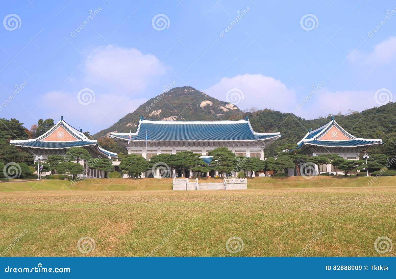 韩国新总统府名称确定 为“龙山总统府”_新浪新闻