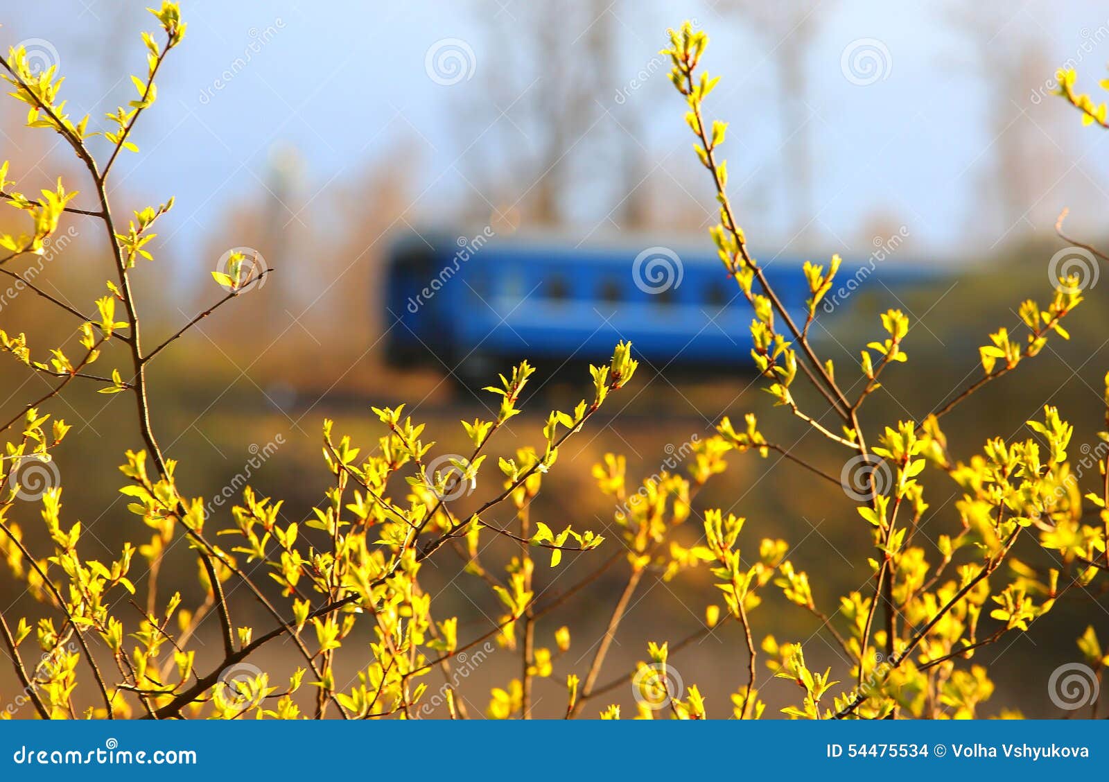 南非蓝色列车：和曼德拉一起度过辉煌岁月|南非|列车|曼德拉_新浪新闻