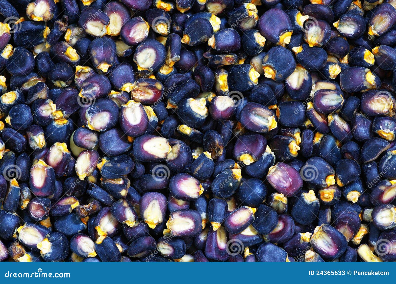 蓝色玉米 库存图片. 图片 包括有 墨西哥, 筹码, 烹调, 有机, 黑暗, 收获, 成份, 庄稼, 蓝色 - 48593913