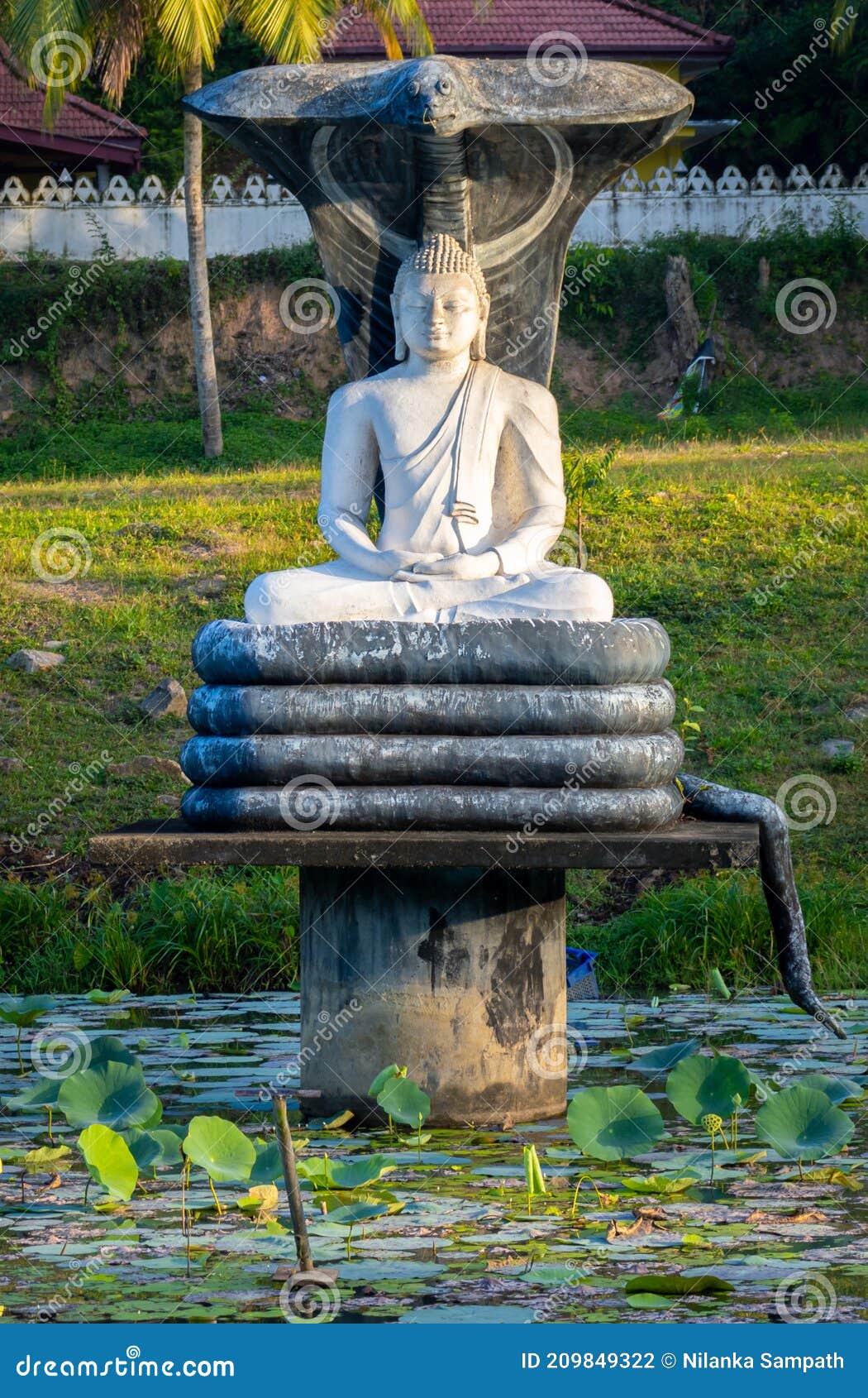 蛇形释迦牟尼是保护免受元件在启蒙运动后的mucalinda 库存照片 蛇形释迦牟尼是保护免受元件在启蒙运动后的mucalinda 库存照片