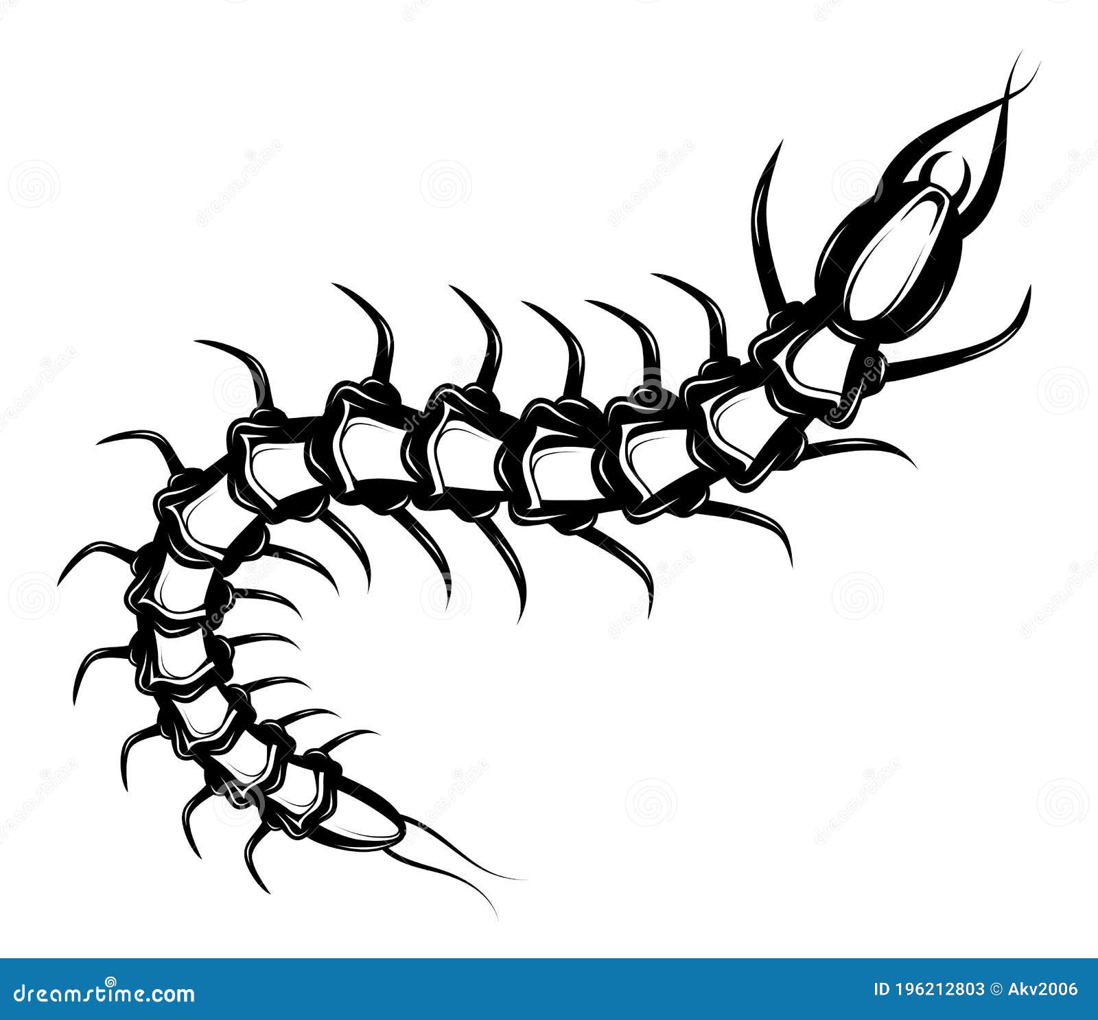 蜈蚣线艺术，手绘矢量图插图 向量例证. 插画 包括有 敌意, 天线, 线路, 自然, 的百威, 昆虫, 蜈蚣 - 184426152
