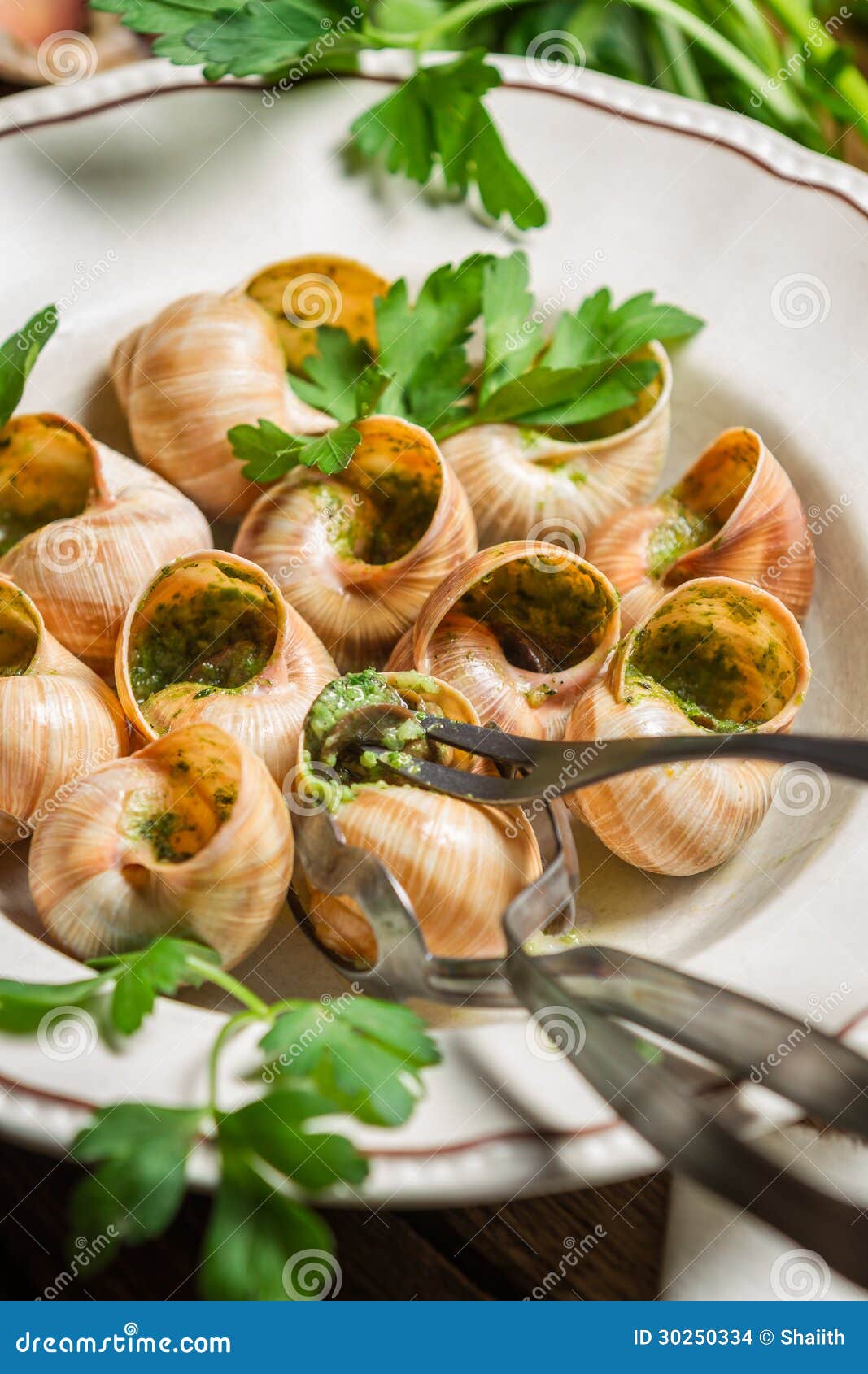 日本冷的蜗牛盘 库存照片. 图片 包括有 贝类, 海鲜, 食物, 美食, 新鲜, 异乎寻常, 日语, 蜗牛 - 37444288