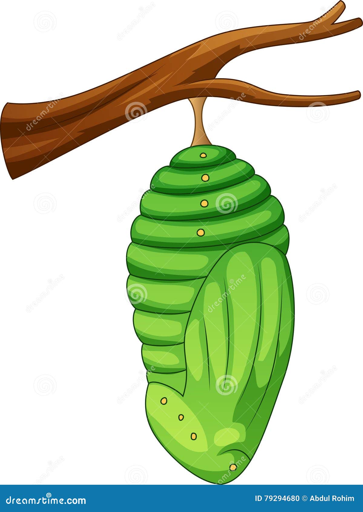Cocoon On Mulberry Leaf Material, Silkworm Cocoon, Leaf, Silkworm Chrysalis PNG Transparent ...