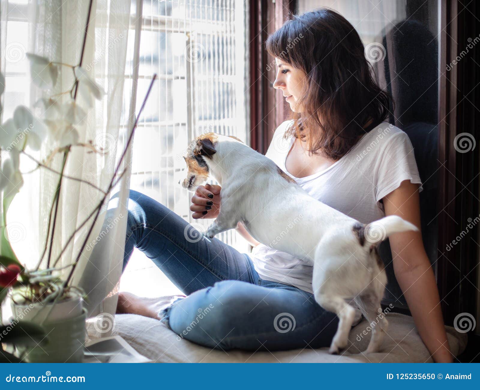 在家宠爱她的狗的少妇 库存图片. 图片 包括有 纵向, 户内, 女孩, 宠物, 敌意, 人们, 年轻, 使用 - 63200955