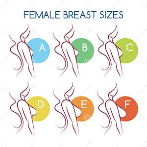  145792677