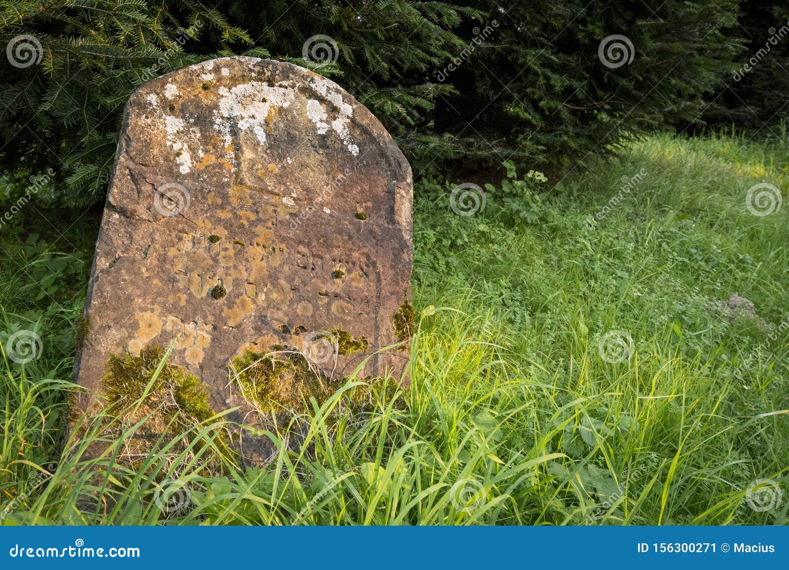 è¿ªæ‹œå¥‡è¿¹èŠ±å›­ï¼Œåœ°ç ƒæ—¥ã€‚é˜¿è ”é…‹è¿ªæ‹œï¼Œ2018å¹´3æœˆ22æ—¥ï¼Œè