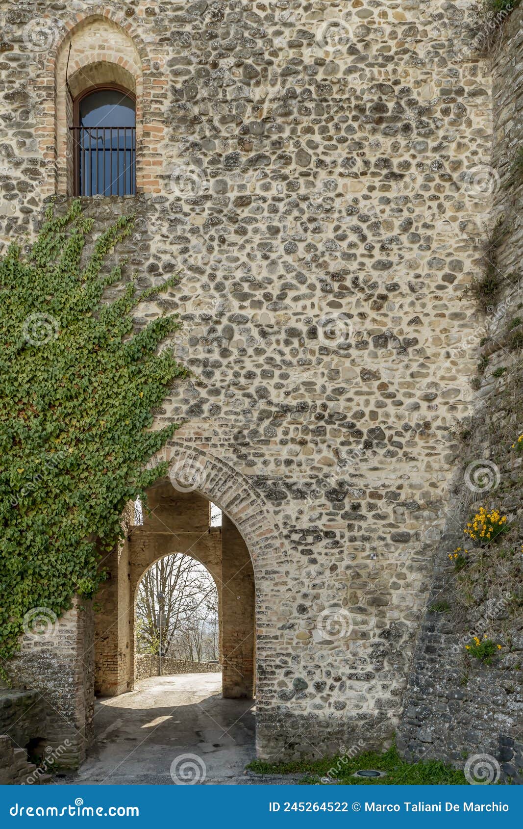 德國紐倫堡 Nürnberg | 古堡大道踩點 神聖羅馬帝國輝煌一時的帝國城堡 - 𝕞𝕤.𝕛𝕔 旅遊&生活