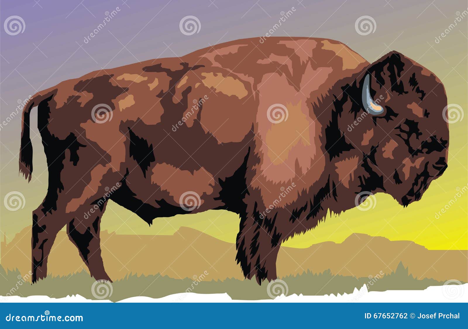 北美北美野牛动物 向量例证. 插画 包括有 自然主义, 动物区系, 装饰, 亚马逊, 自然, 北部, 经典 - 95149240