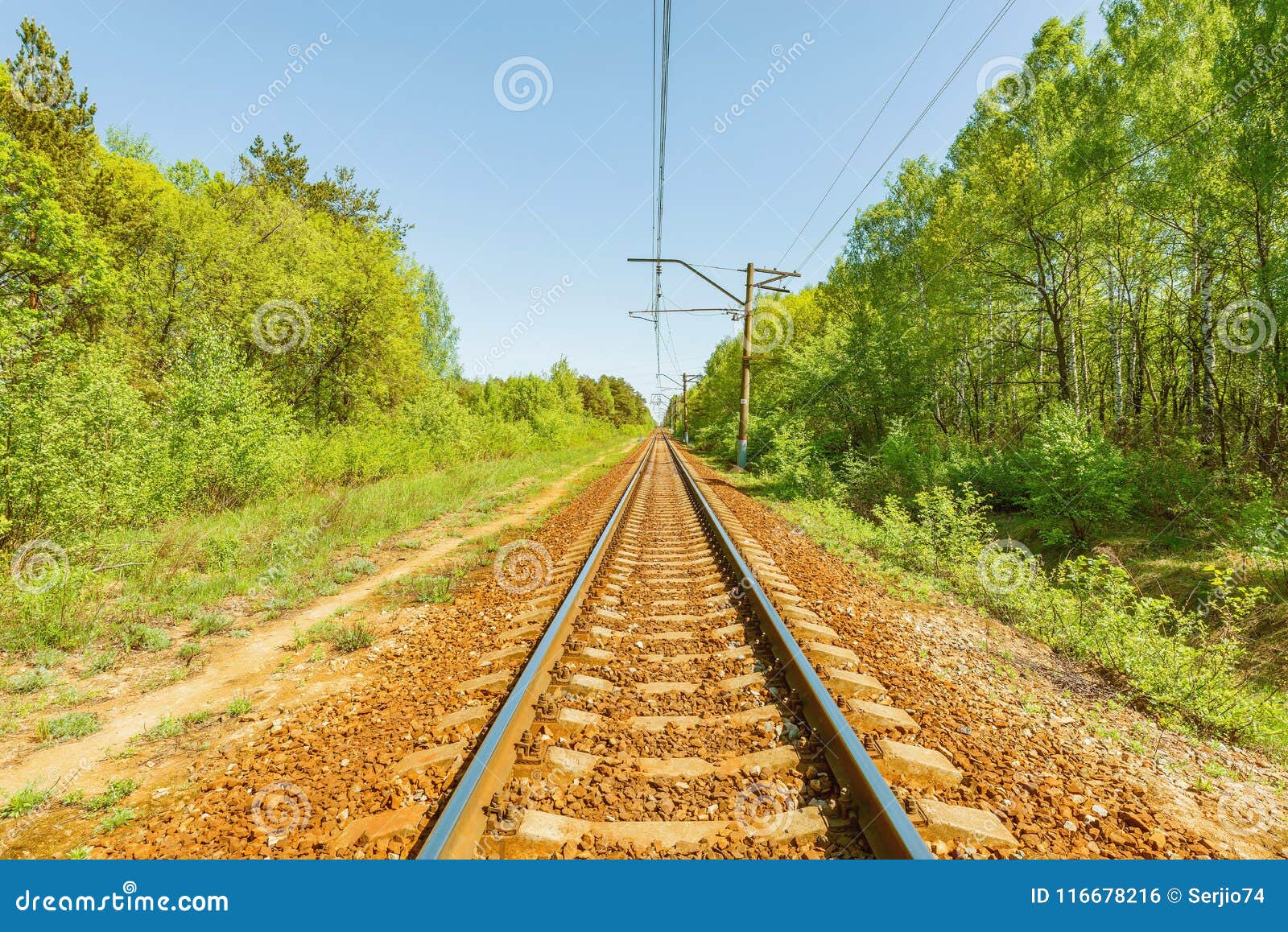 火车 性质 运输 森林 铁路 rails 秋季 心情 滑轨图片下载 - 觅知网