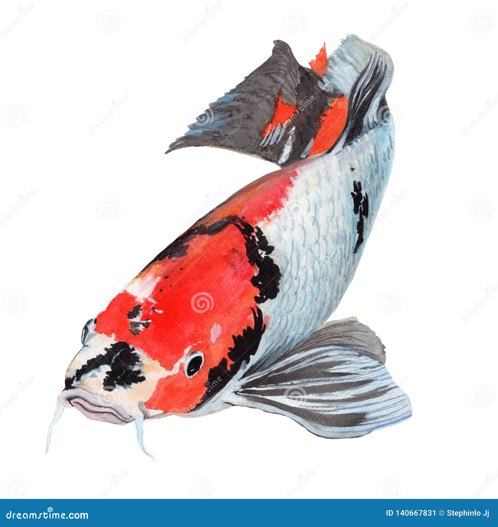 锦鲤鱼水彩画水彩手绘可爱动物图画库存例证. 插画包括有小鸡 锦鲤鱼水彩画水彩手绘可爱动物图画库存例证. 插画包括有小鸡
