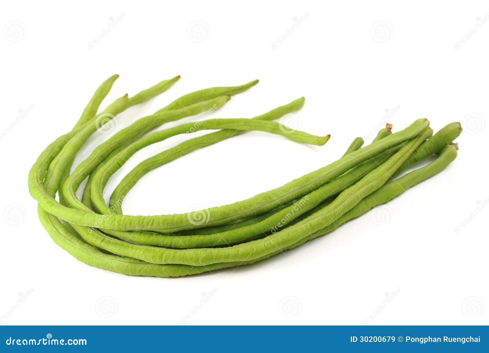 Long Bean 长豆 | CKH Food Trading