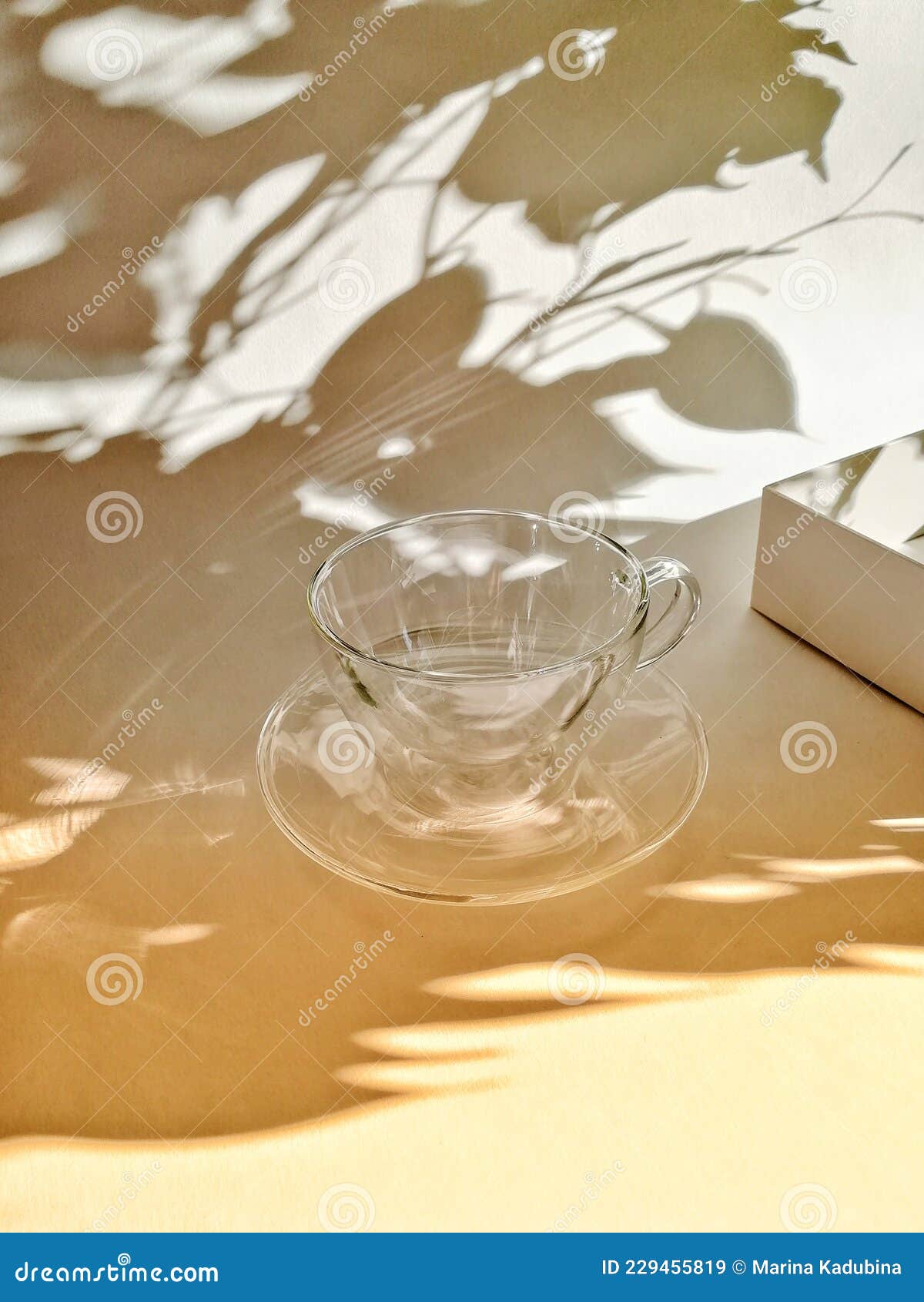 一个透明的红酒杯放在褐色的地面上阳光照射下来形成一个影子食物饮品素材设计