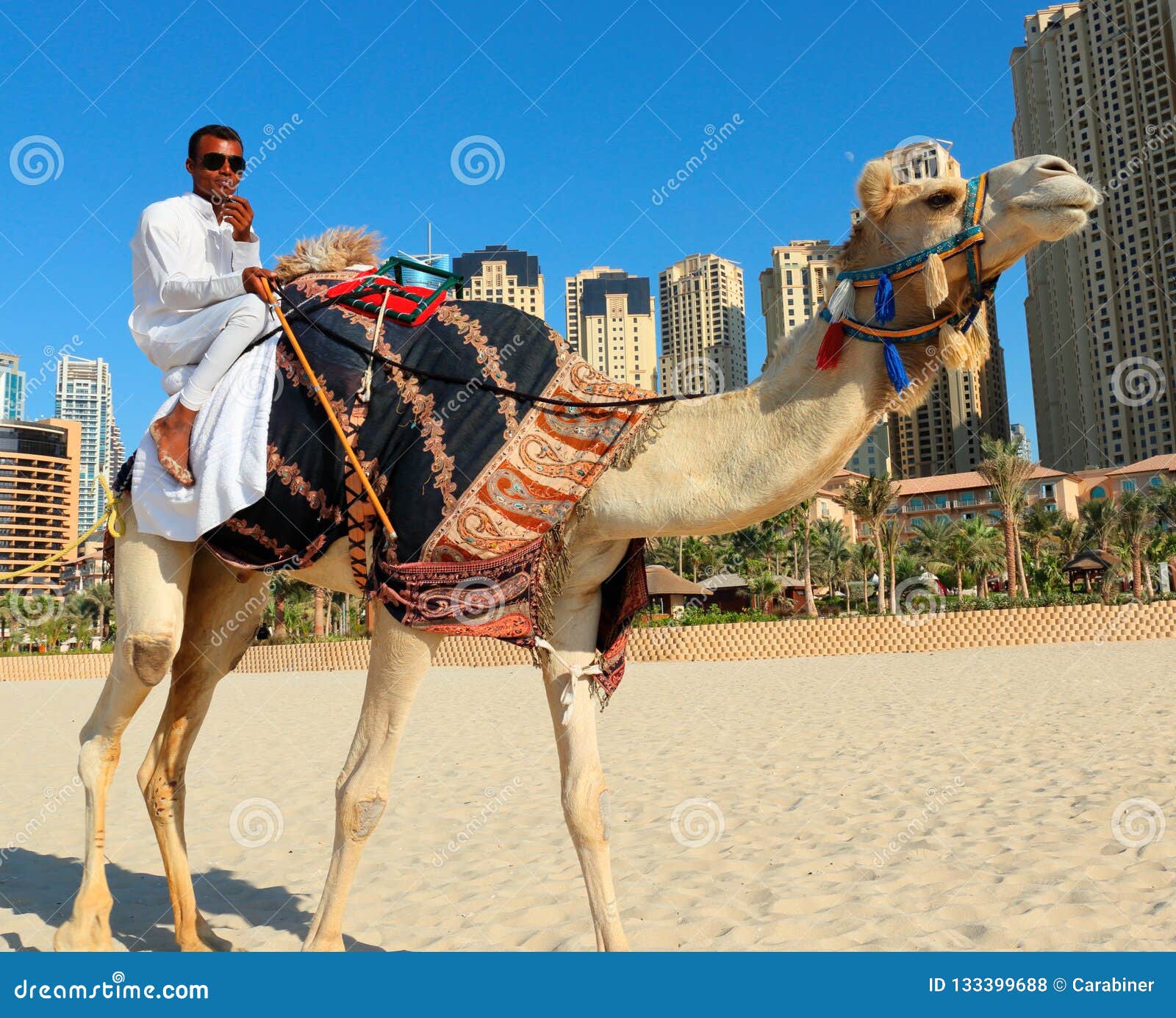 迪拜阿联酋骆驼和骑师在日落时在 Nad Al Sheba 骆驼赛马场训练高清摄影大图-千库网