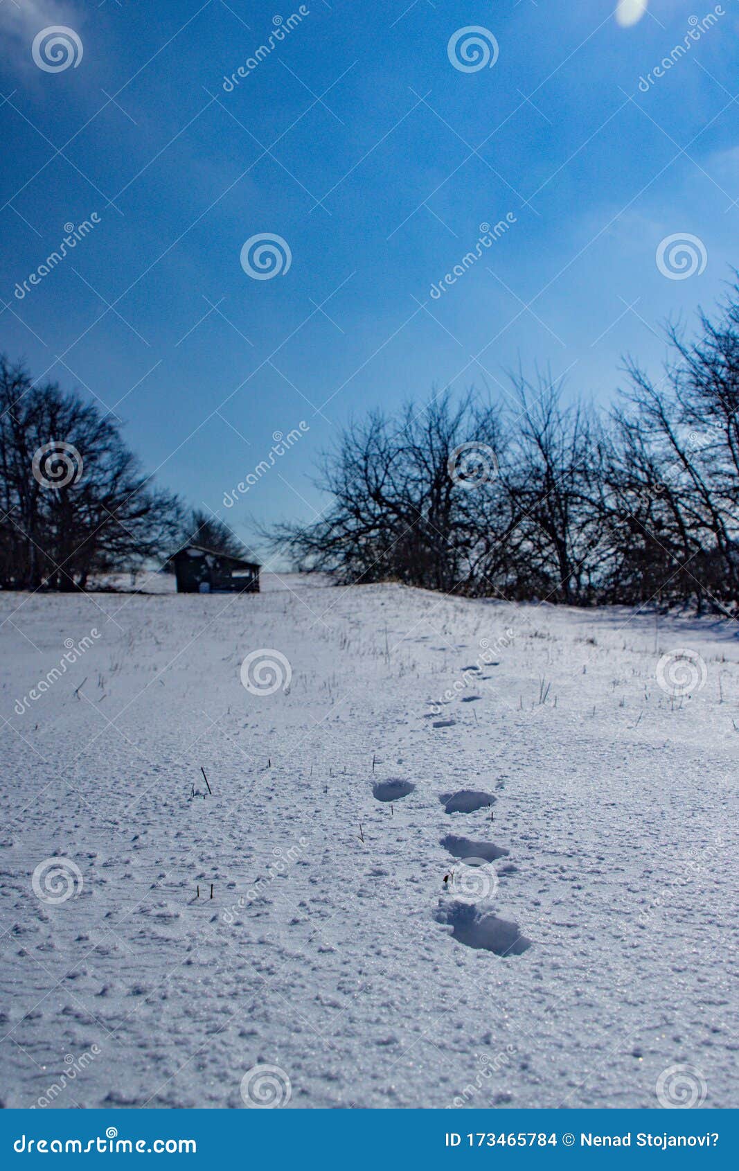 脚印兔子雪 库存照片. 图片 包括有 脚印, 降雪, 冬天, 剥落, 模式, 场景, 水平, 外面, 季节, 本质 - 77030