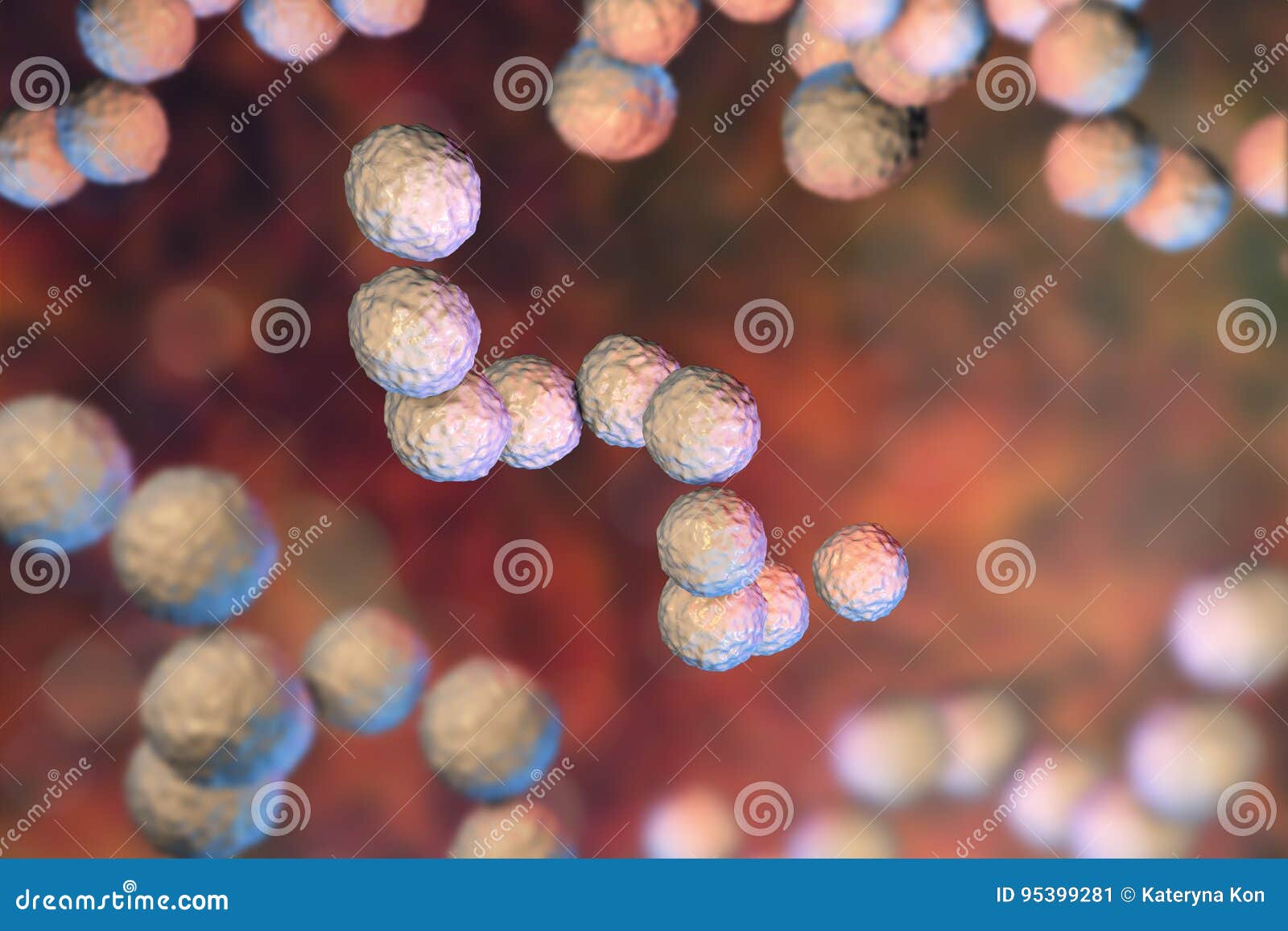 鼠疫杆菌革兰染色-图库-五毛网