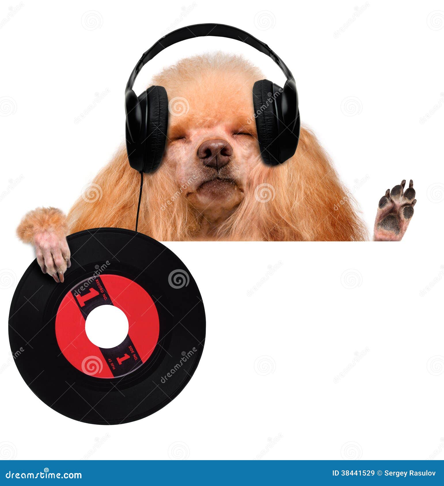 戴耳麦听音乐的宠物狗-欧莱凯设计网