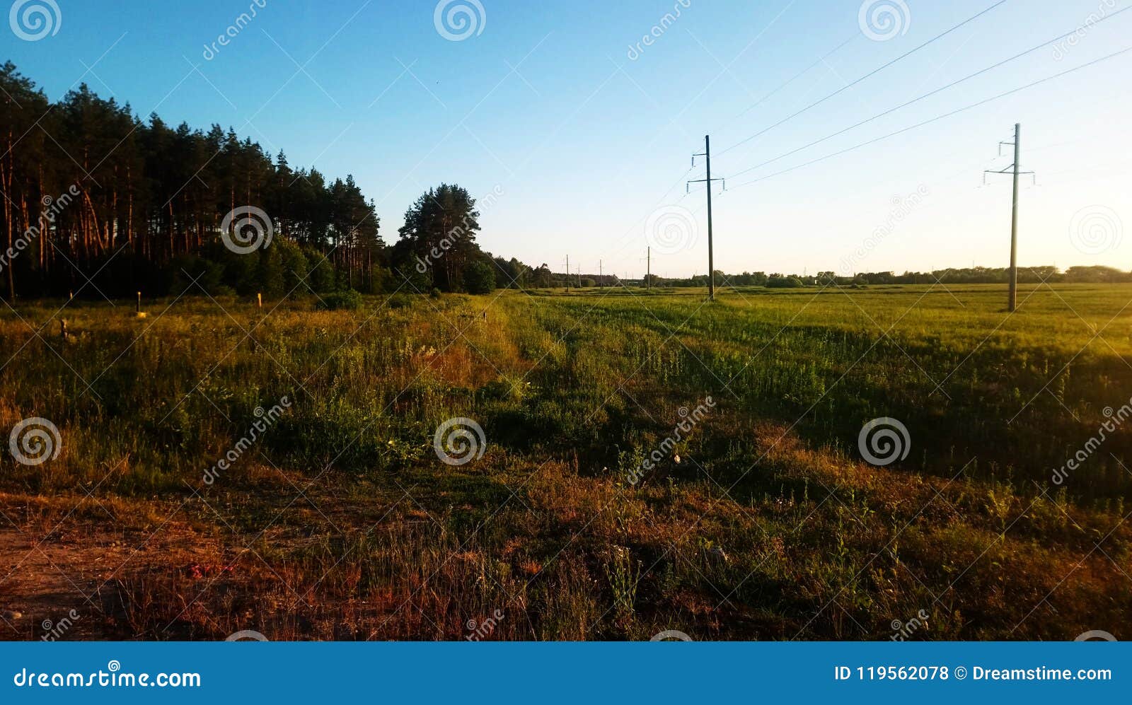Landscape of an Unplowed Field 库存照片 图片 包括有 æ£®æž—, é ¢ 119562078