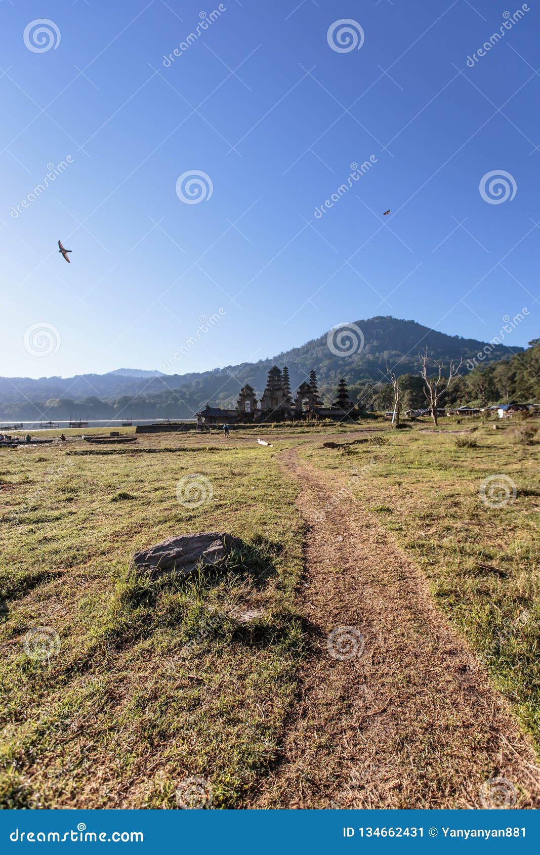 飞行在自然风景附近的鸟平安的背景影像. 这张照片在巴厘岛印度尼西亚被拍 这个地方是沿湖的一个小村庄 村民做钓鱼，种田，品种牛 这个地方是平安，安静和自然的 也有寺庙