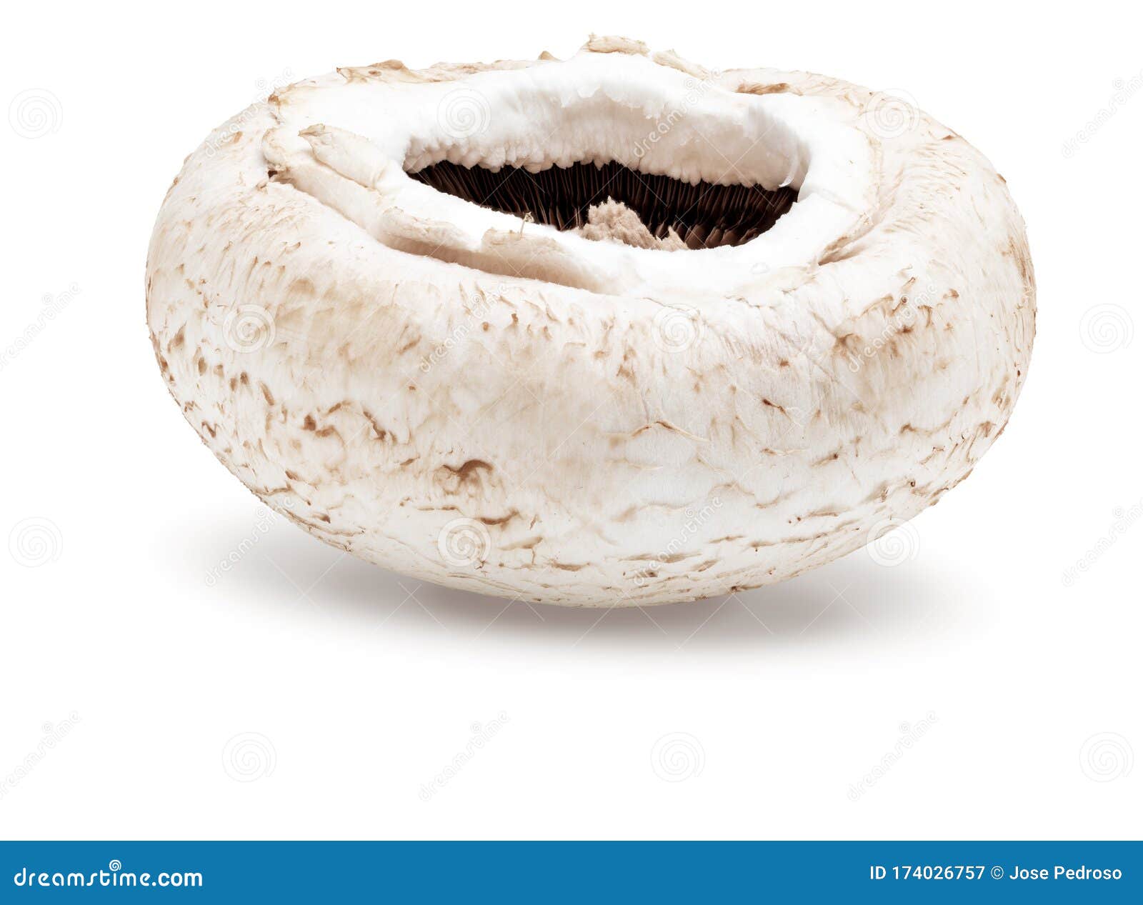 「图」冷冻双孢菇 速冻白蘑菇图片-马可波罗网