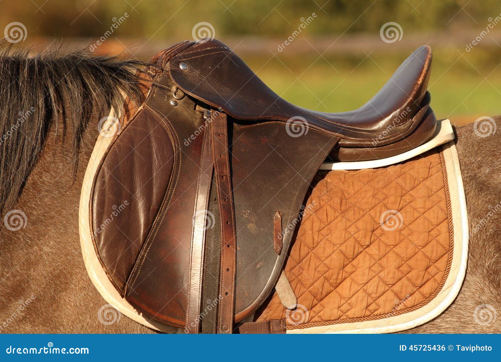 蒙品1选带你看蒙古族马背文化——雕花的马鞍！ - 知乎