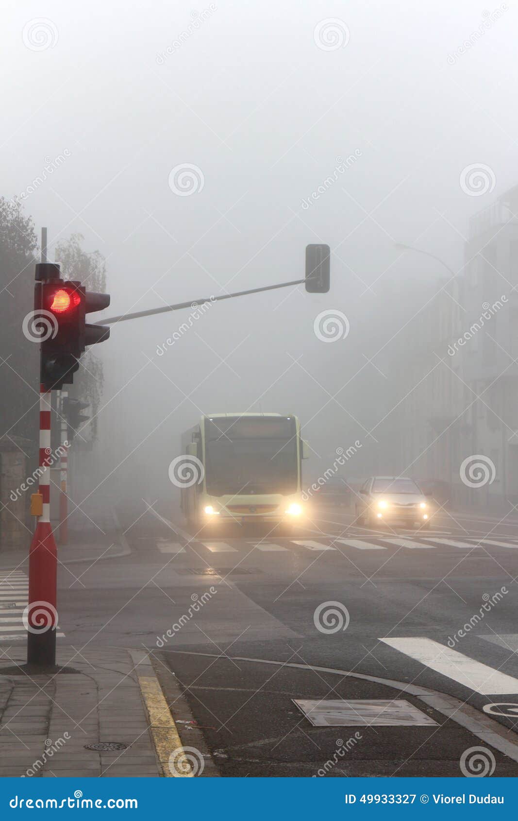 驾驶的恶劣天气情况. 在坏有雾的天气的城市公车运送驾驶和汽车-红色红绿灯停止位置
