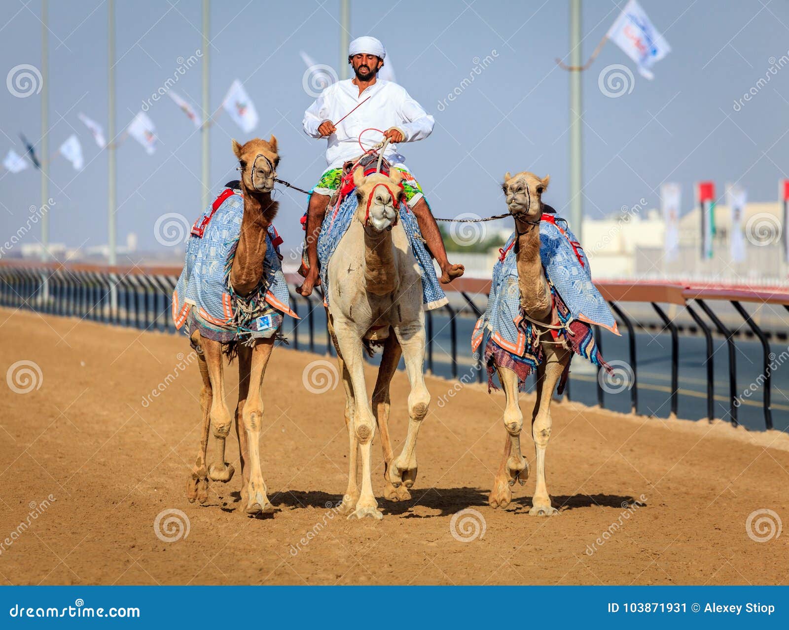 迪拜清晨骑骆驼偶遇瞪羚家族，感受阿拉伯式野奢