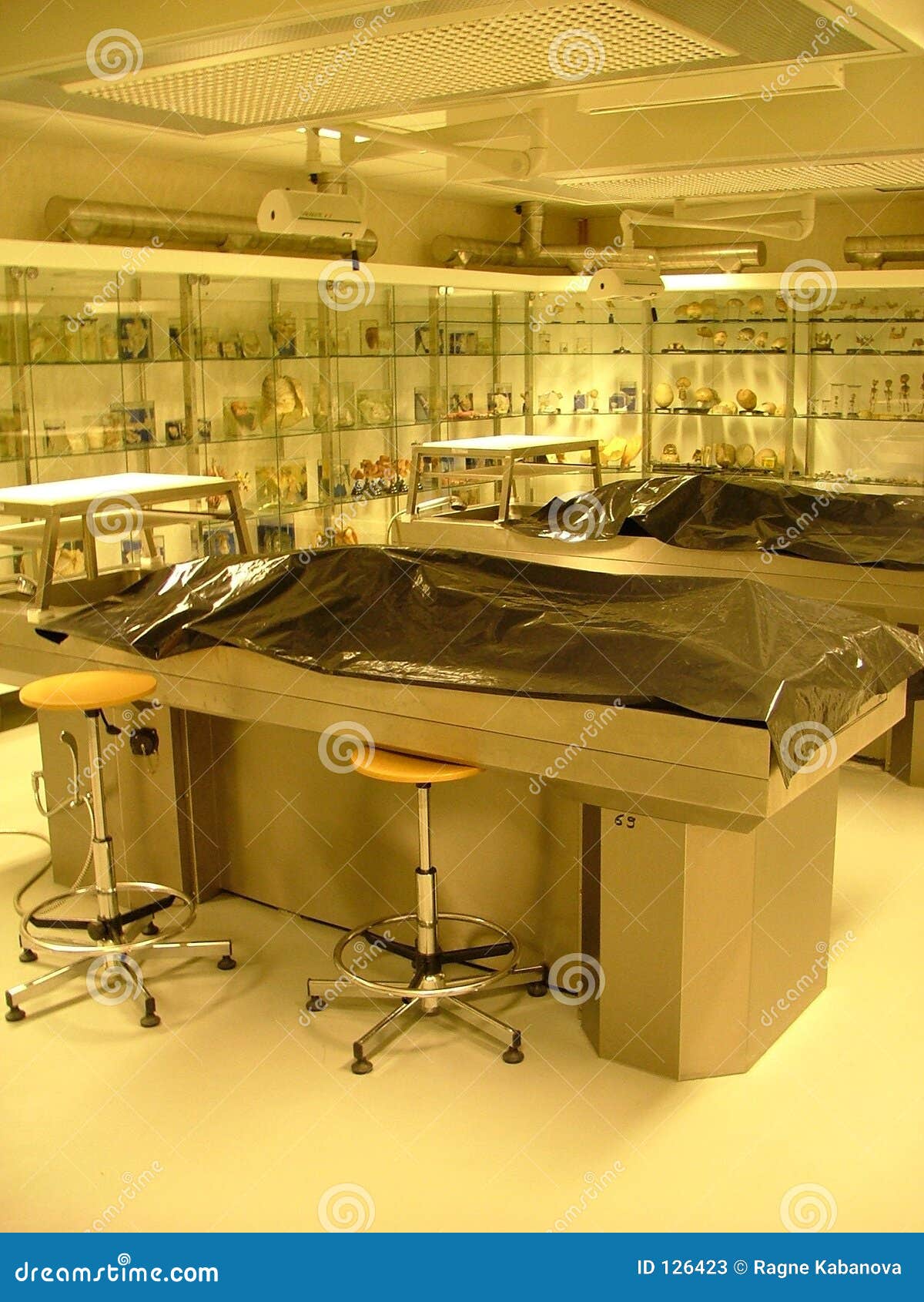 法医不锈钢解剖台动物尸体解剖台医用解剖实验台实验室解剖-阿里巴巴