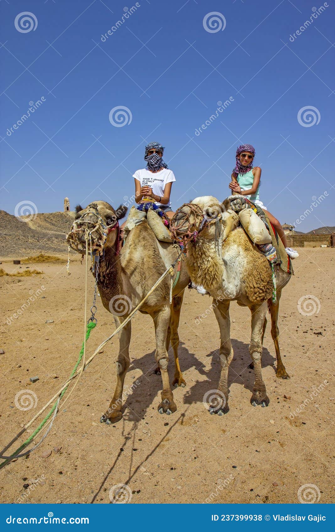 卡通简约骆驼和女孩装饰图片素材-编号33134821-图行天下