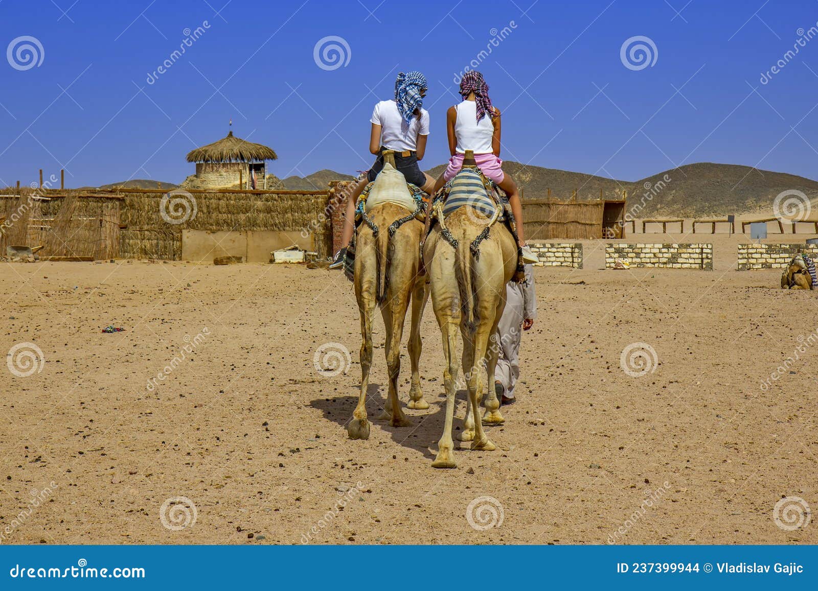 骑骆驼埃及沙漠的女孩 库存照片. 图片 包括有 孩子, 哺乳动物, 节假日, 乘驾, 独峰驼, 女性, 乐趣 - 237399938