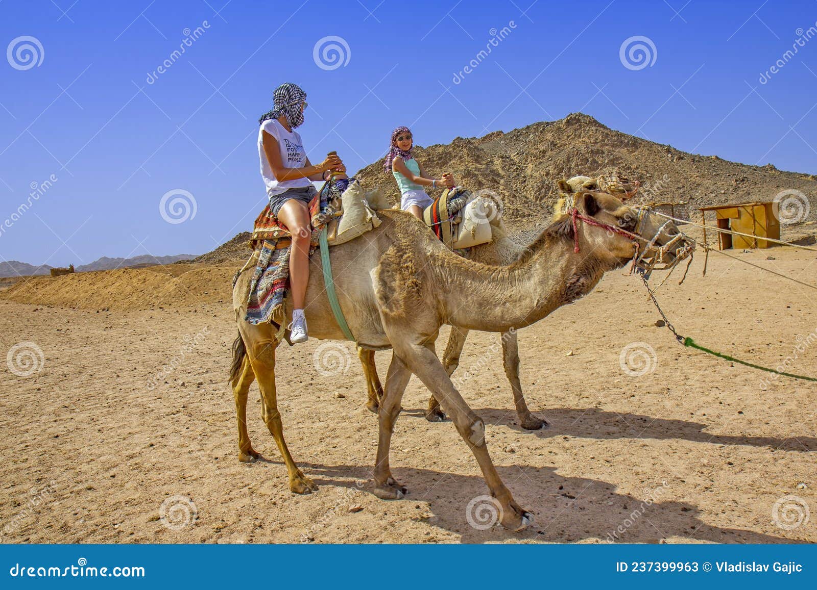 男孩和女孩站在骆驼旁边插画图片素材_ID:171258713-Veer图库