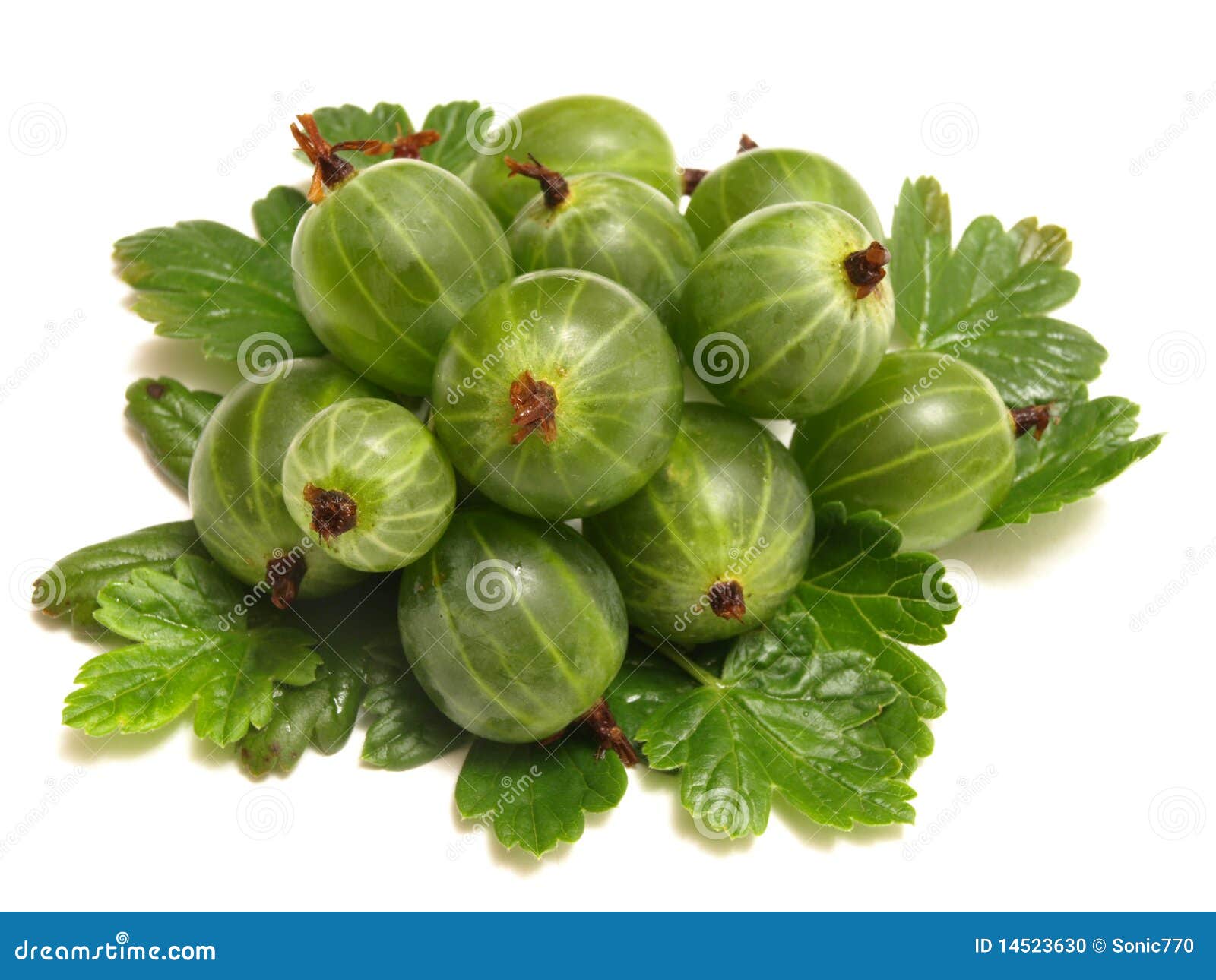 Amla（印度鹅莓）-一种具有神奇功效的水果。 - renalresource.com