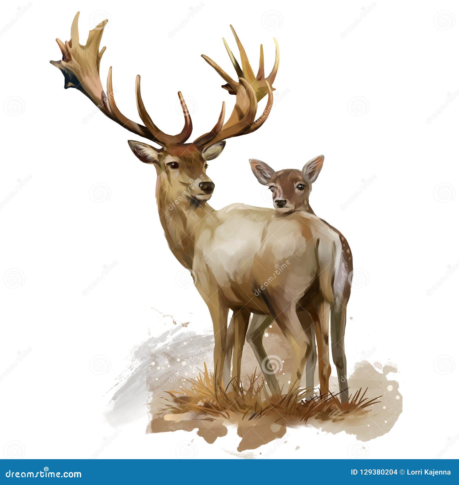 鹿和幼鹿。水彩画库存例证. 插画包括有胎儿, 敌意, 查出, 绘画, 牛仔