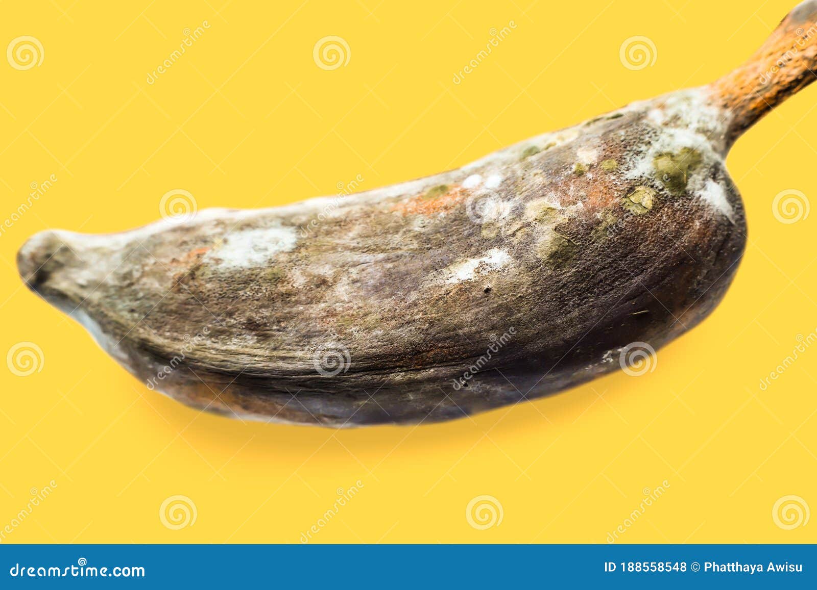 成堆的腐烂或丢弃在地上的香蕉果实 库存照片. 图片 包括有 真菌, 朽烂, 腐败, 绿色, 太熟, 自然 - 209449656