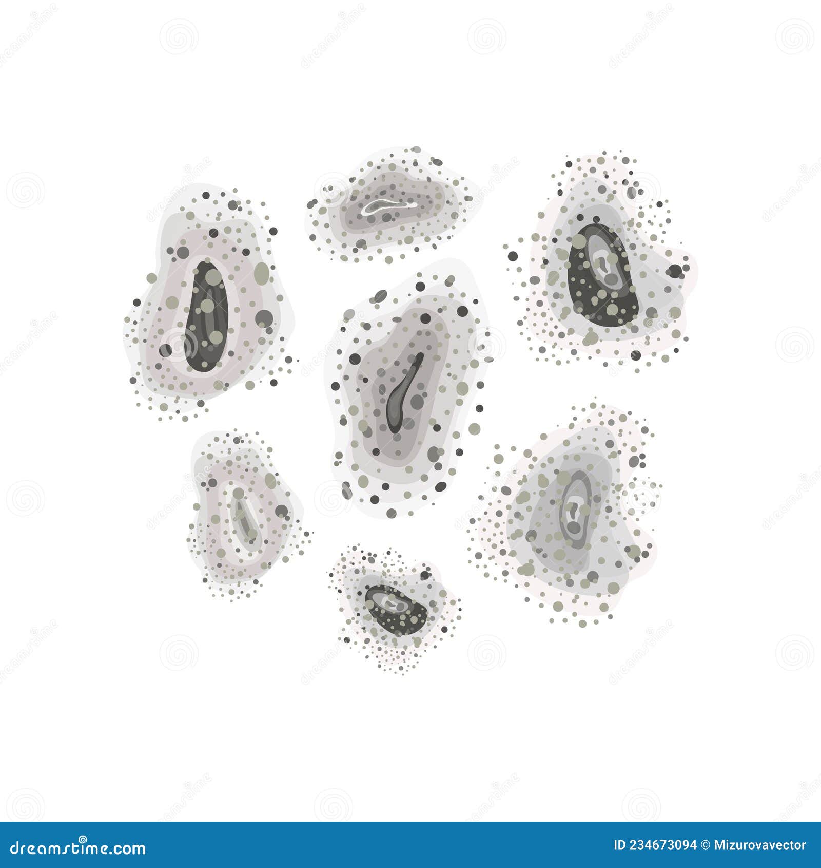 真菌黑霉的殖民地特征在培养皿的教育的 库存图片. 图片 包括有 真菌, 霉菌, 食物, 生长, 微生物 - 129825715
